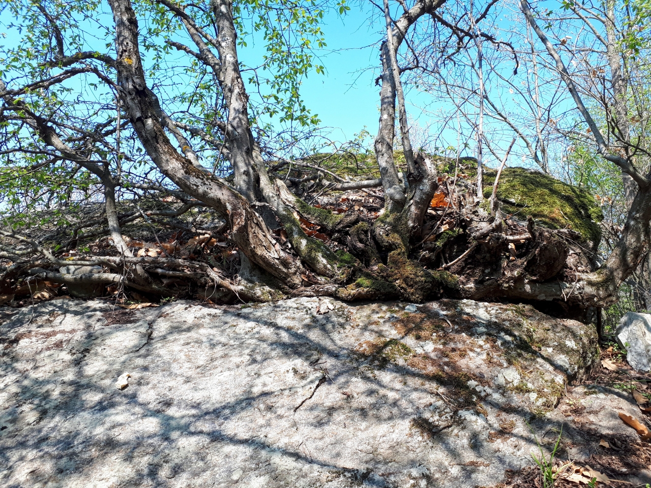 20190407_113112.jpg