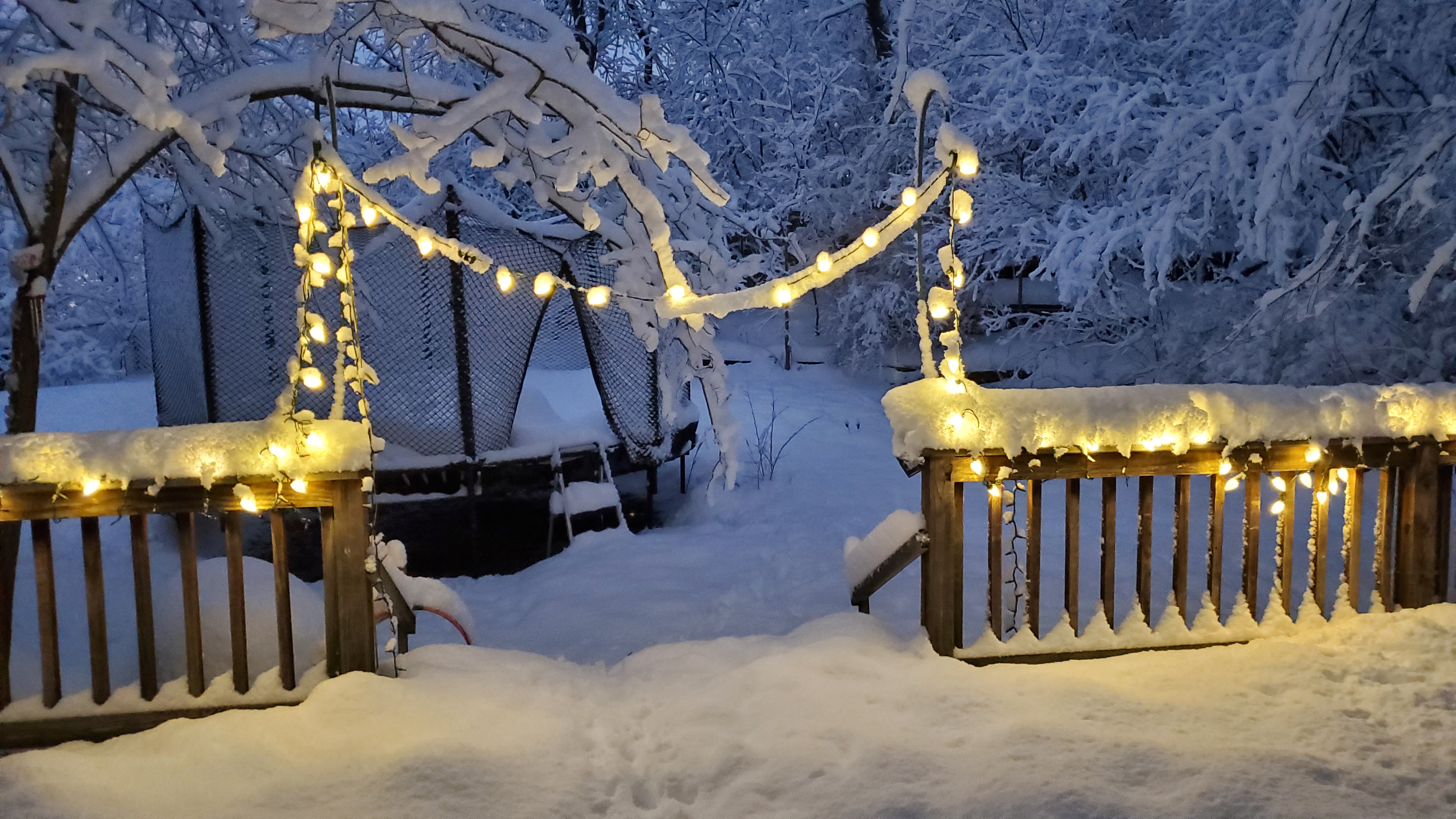 backyardsnow.jpg