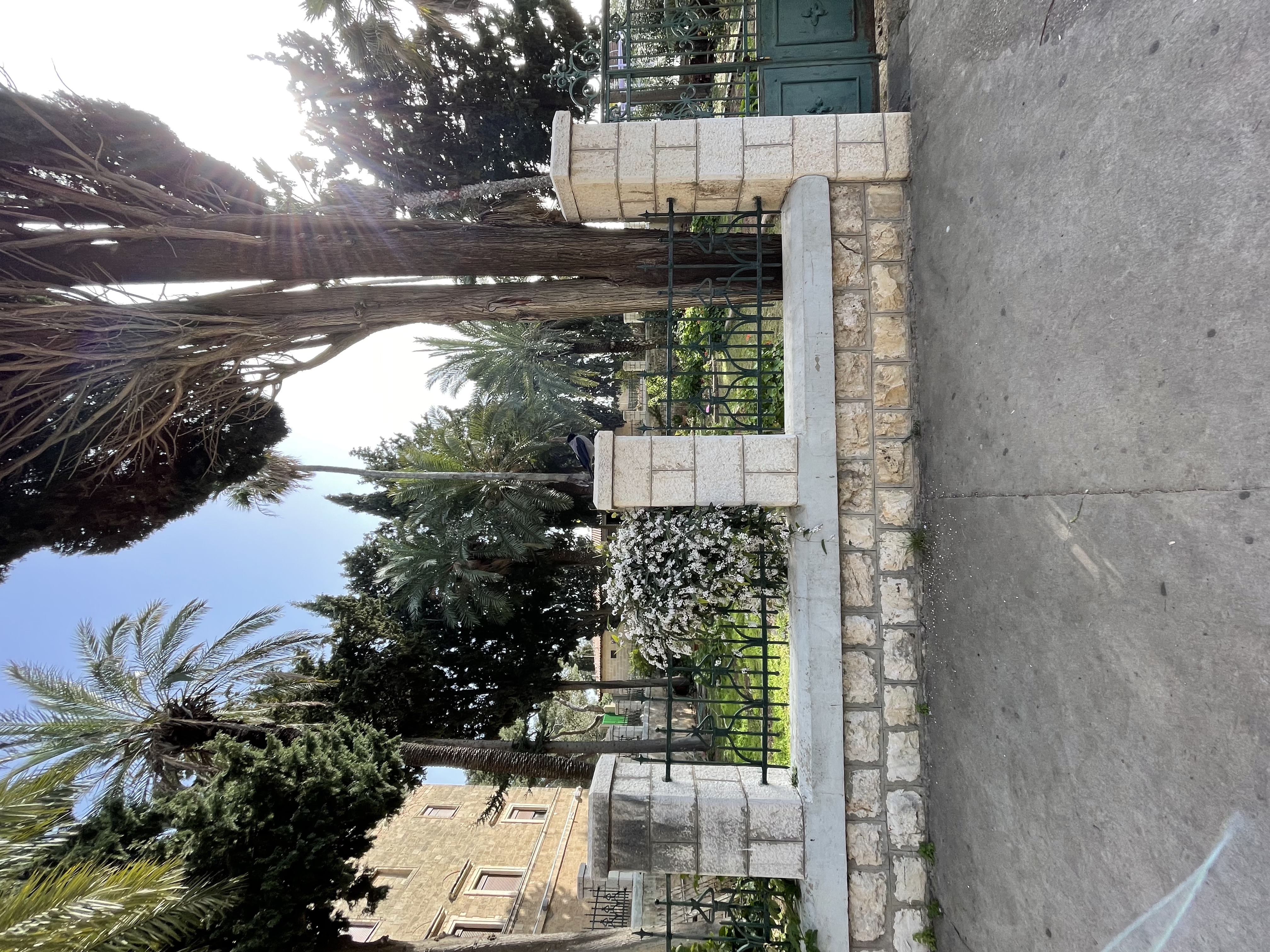 IMG-4324.jpg