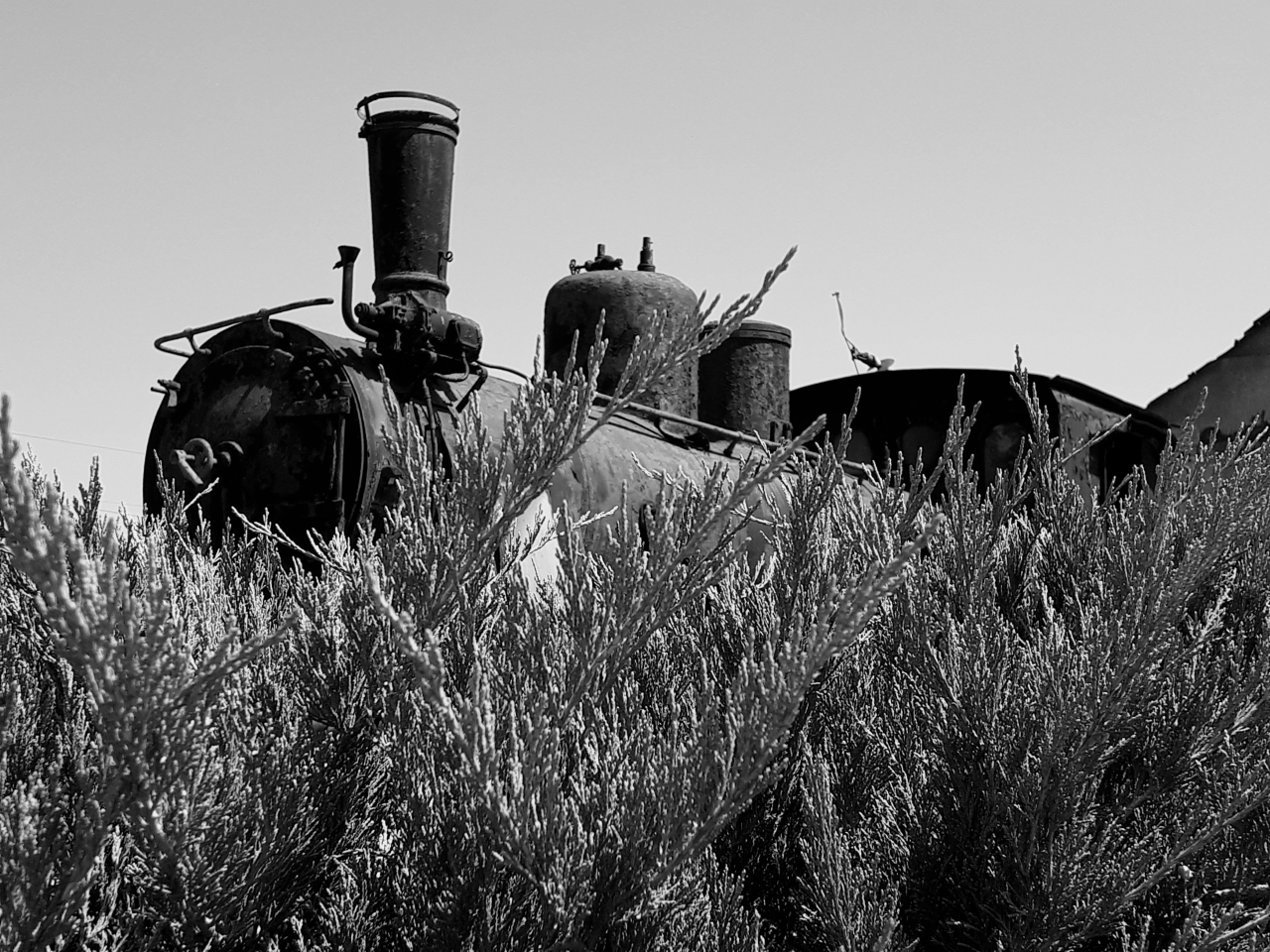 20250808_120927.jpg
