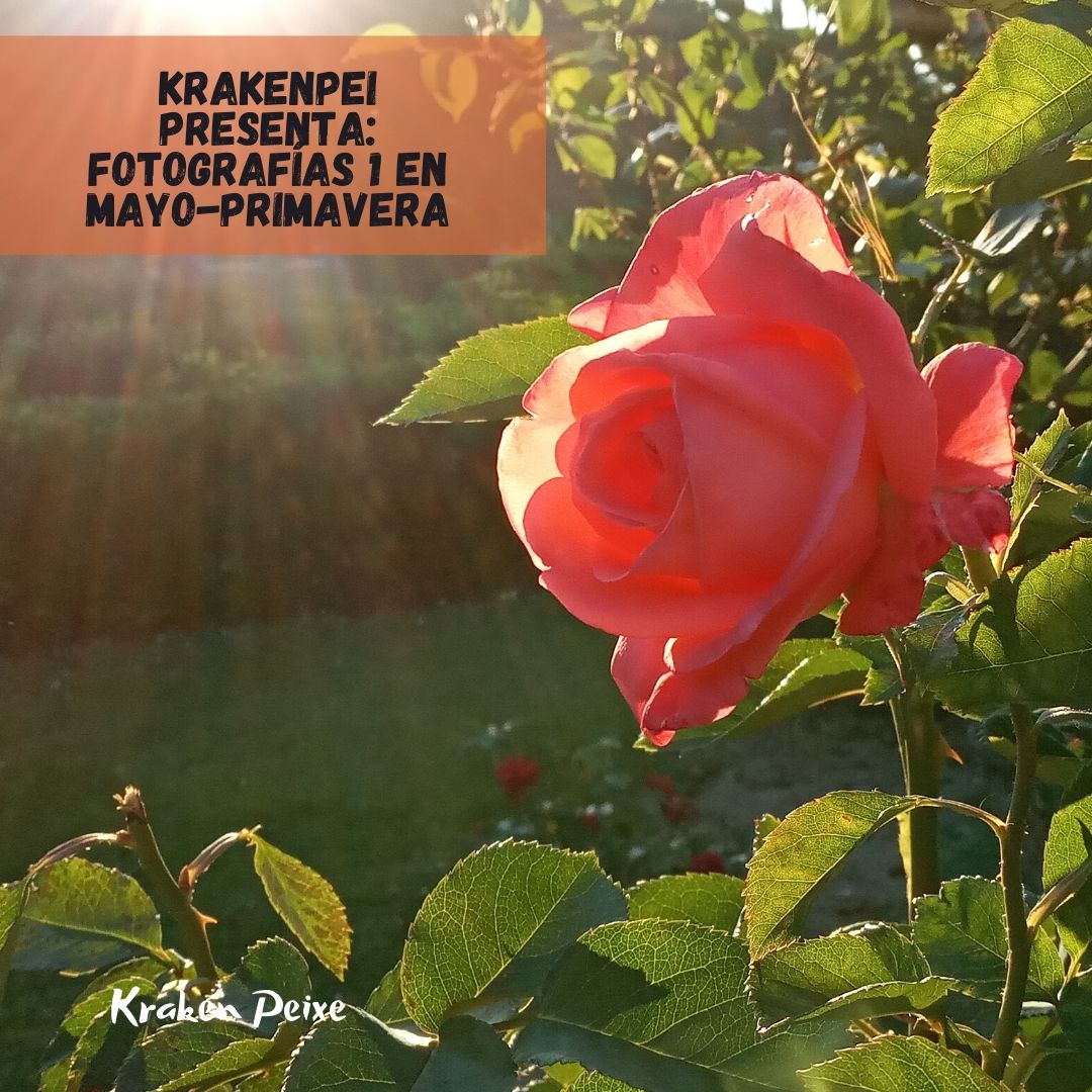 Krakenpei Presenta_ Fotografías 1 en Mayo-Primavera.jpg