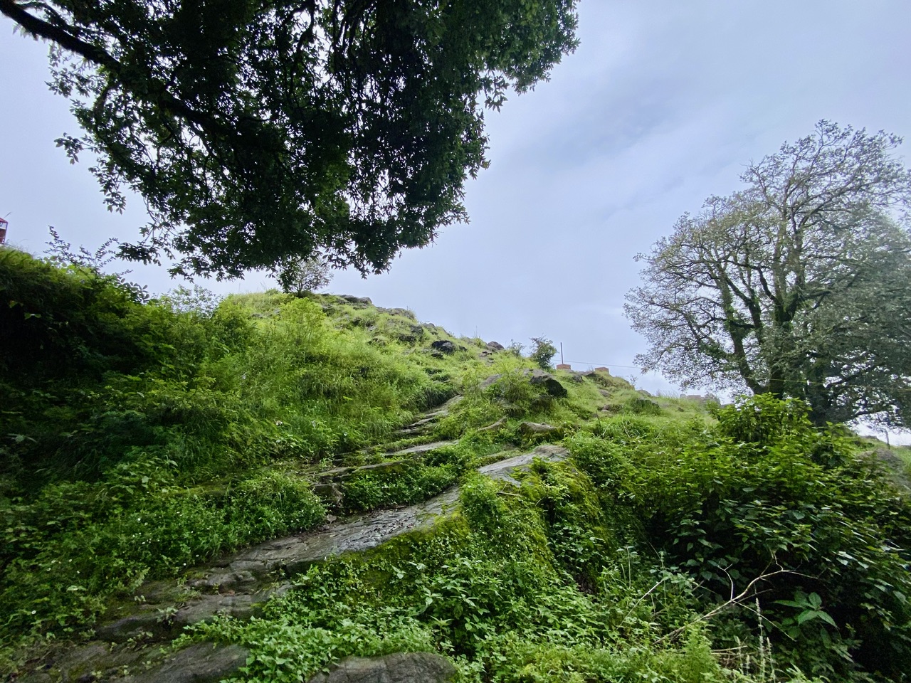 IMG_0921.jpeg