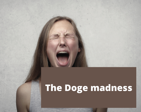 The Doge madness.png