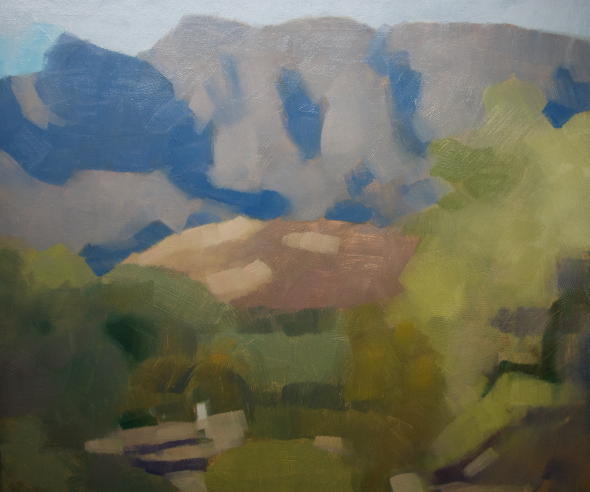 Day #043 20x24 #100 Days of Painting #5.jpeg