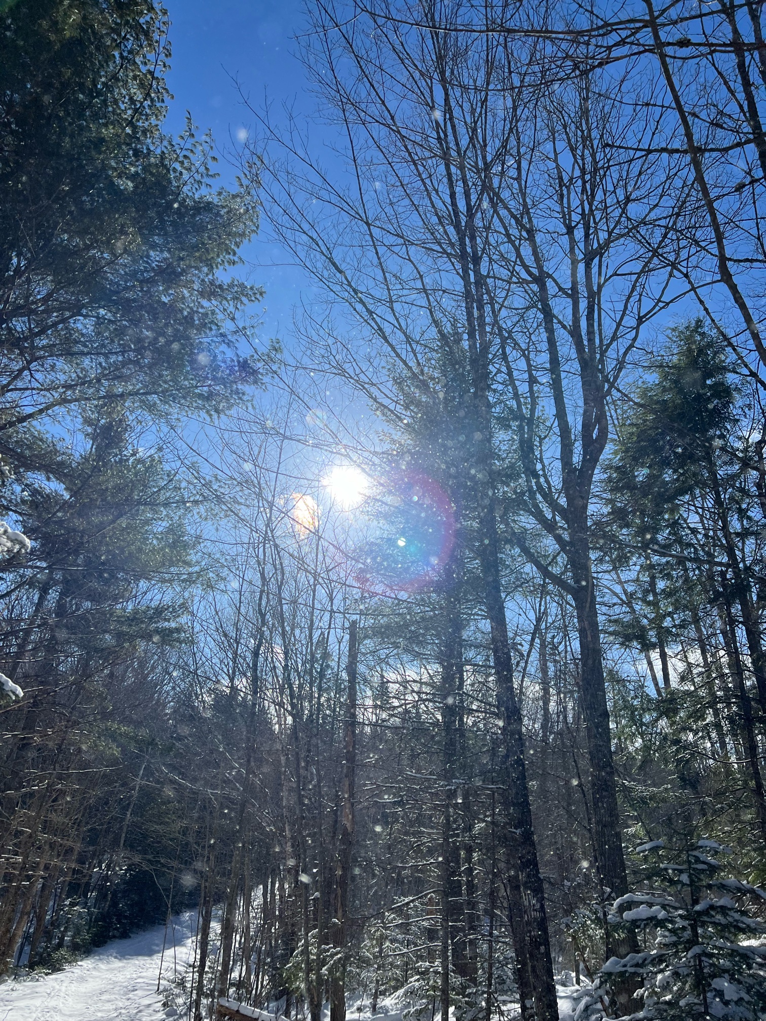 IMG_6182.jpeg