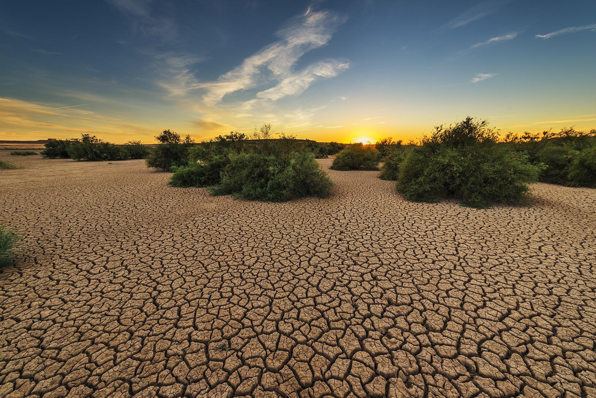 drought-gb8a327c21_1920.jpg