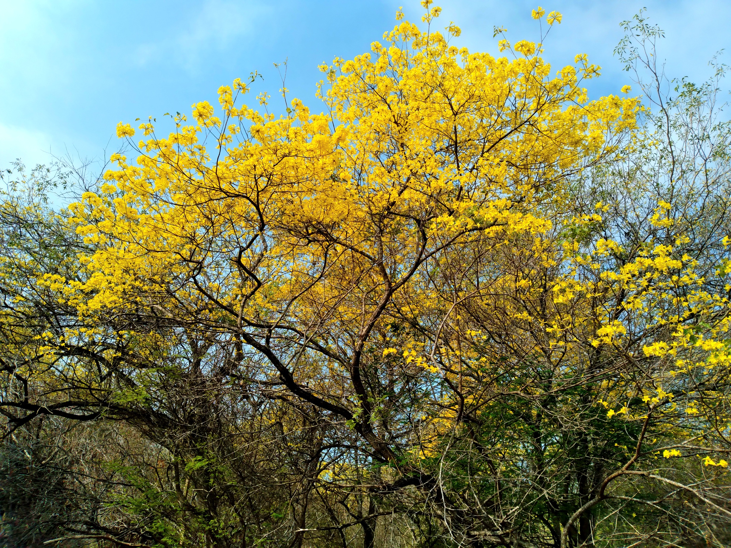 20250321_091216.jpg
