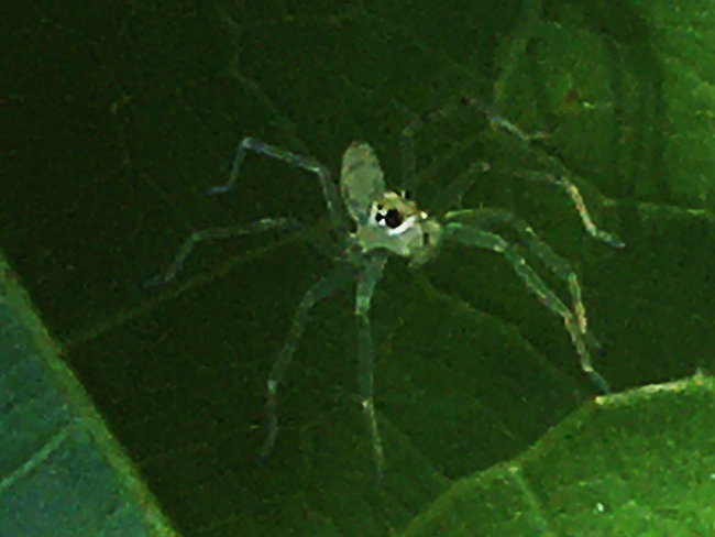 IMG_8895s.png
