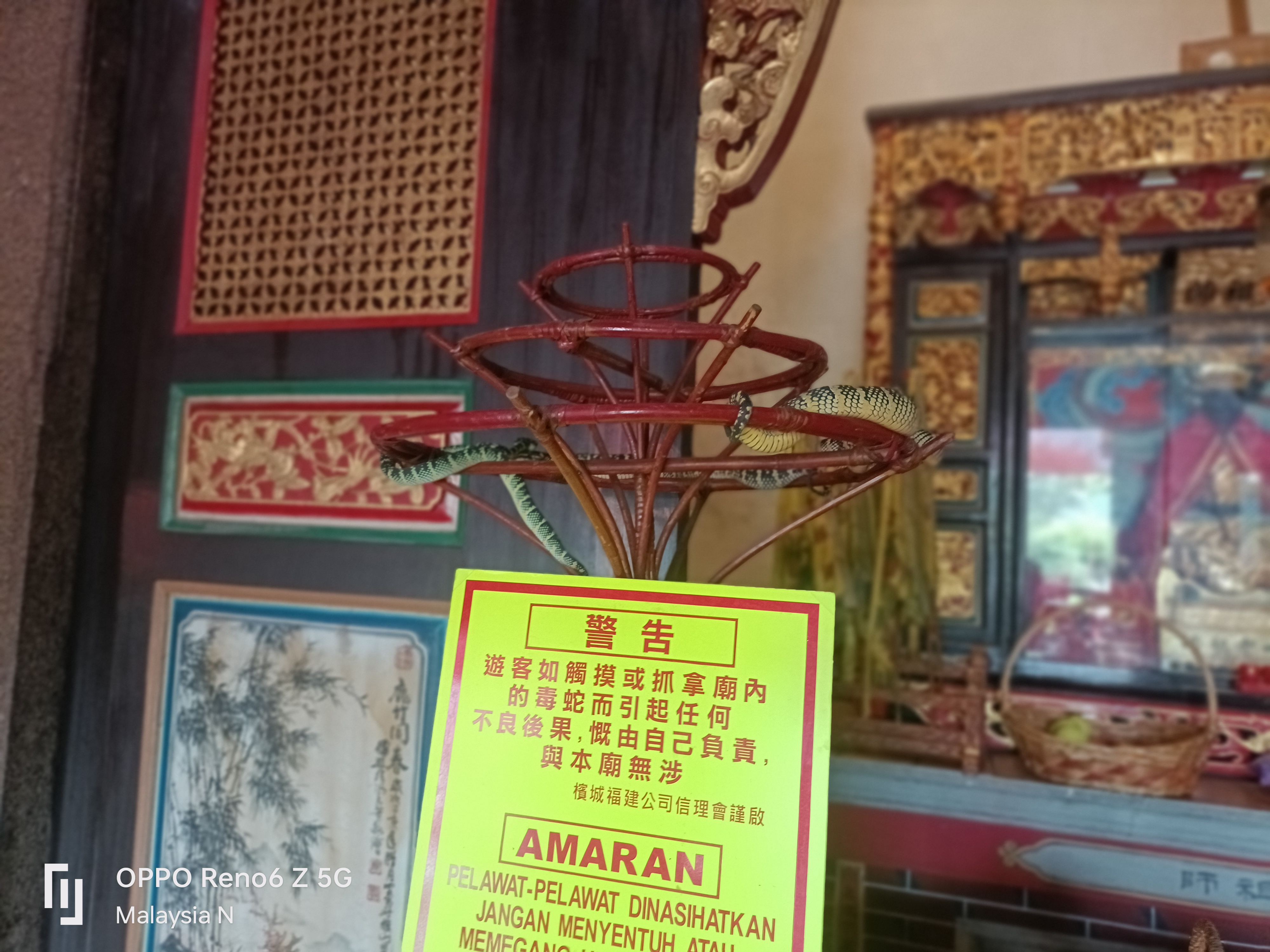 IMG20250523133225.jpg