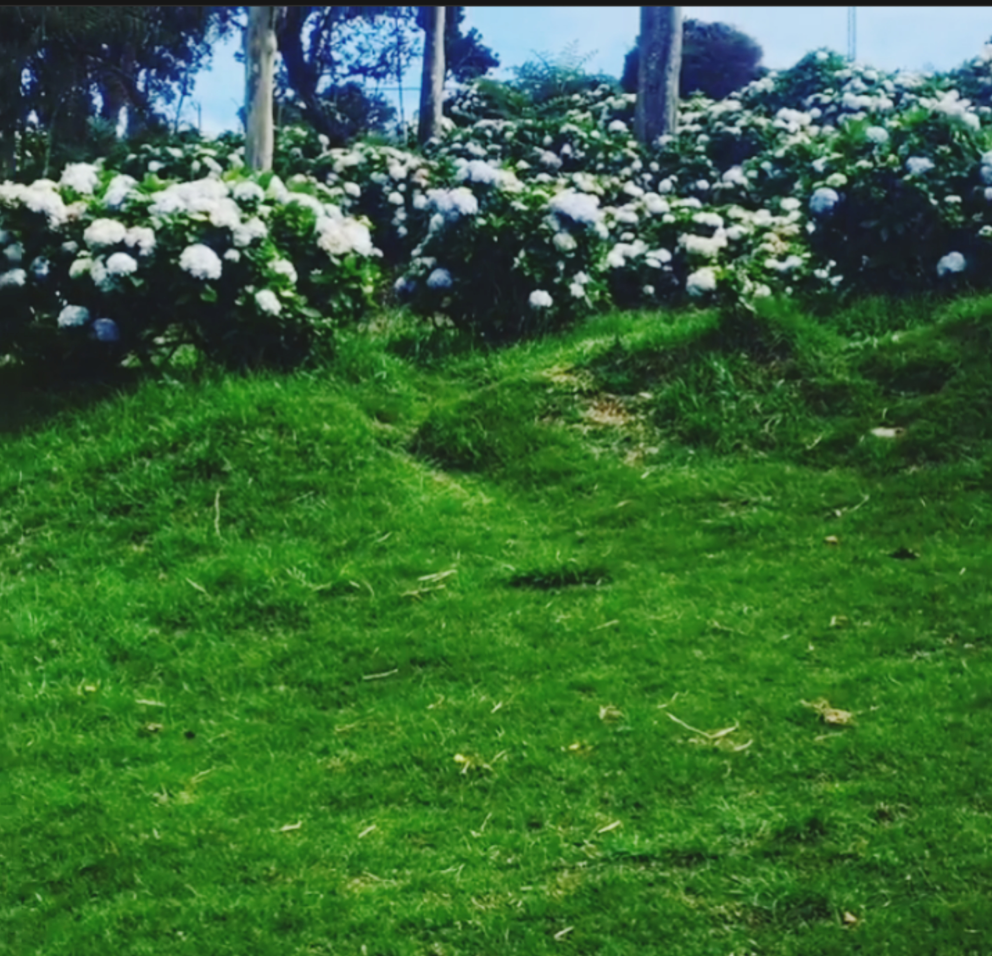 InShot_20220128_175622484.jpg