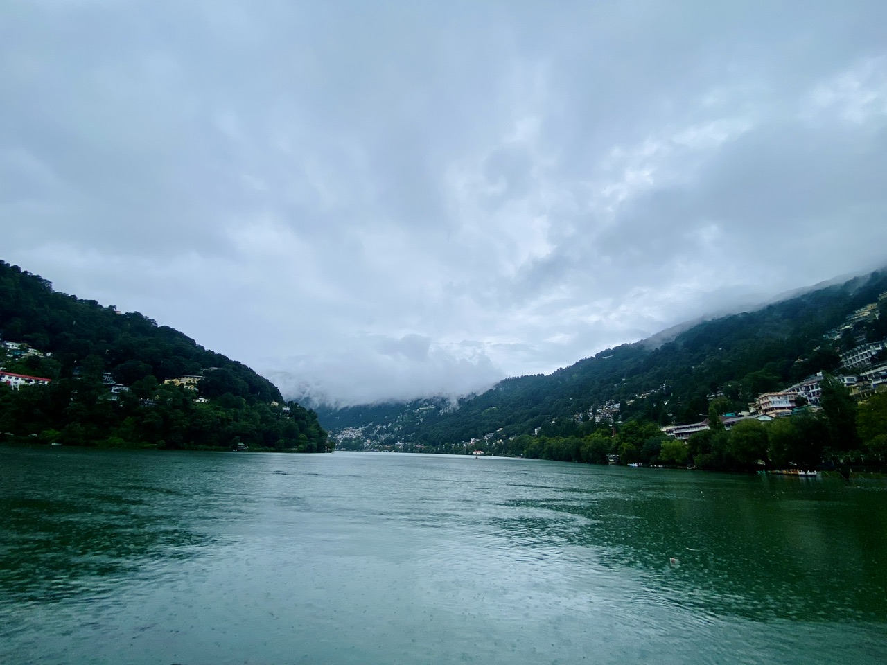 IMG_0710.jpeg