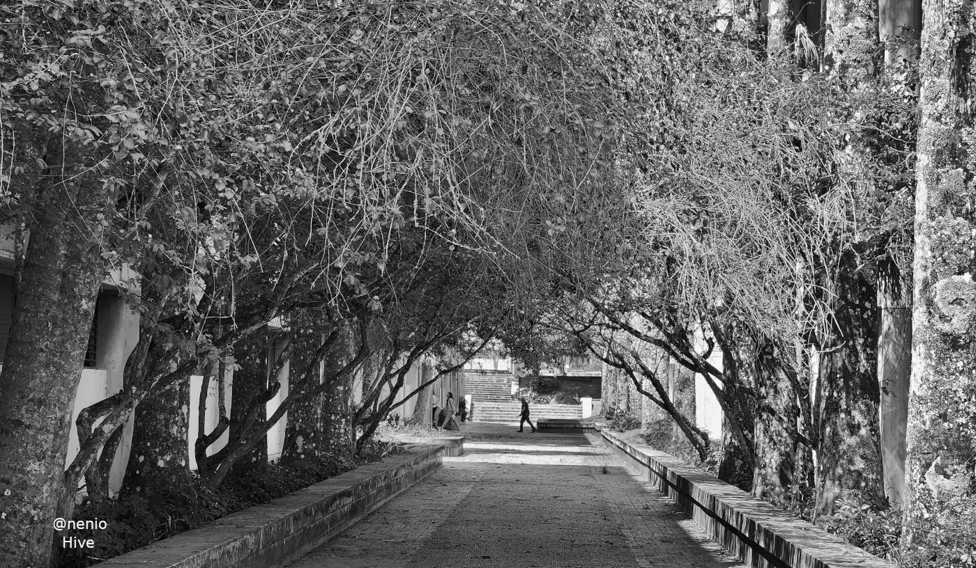 tunnel-effect-003-bw.jpg