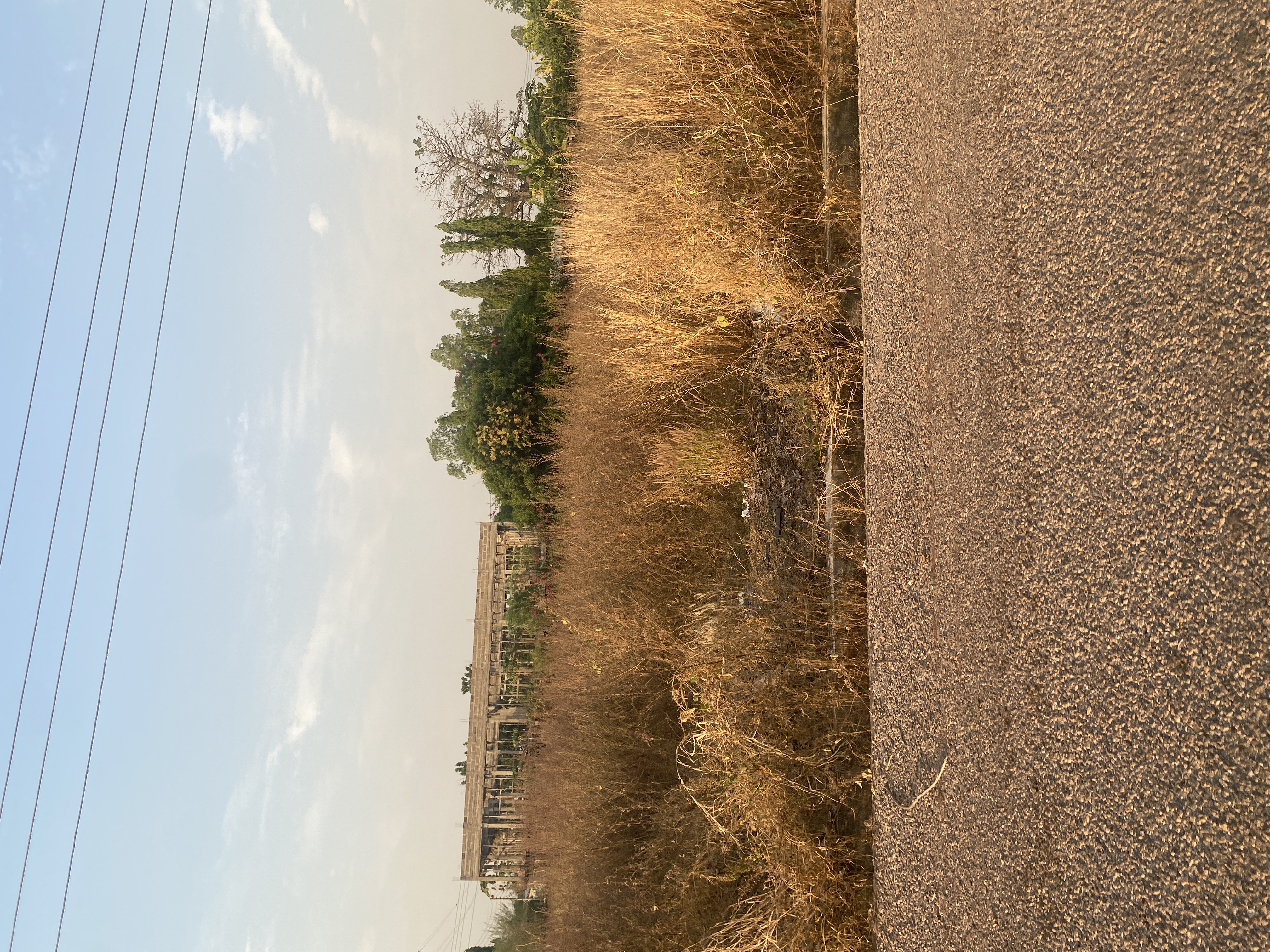 668A954C-674D-4A9D-9617-29BCE1C78BF0.jpeg