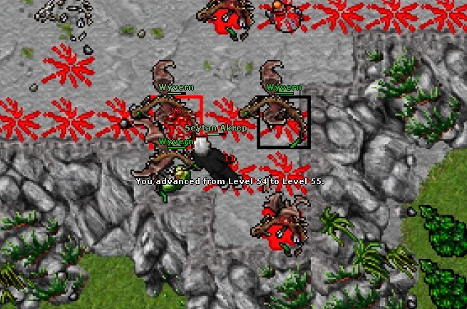 Reliving the fever for Tibia  Best Role-Playing Game Ever [ENG/ESP] — Hive