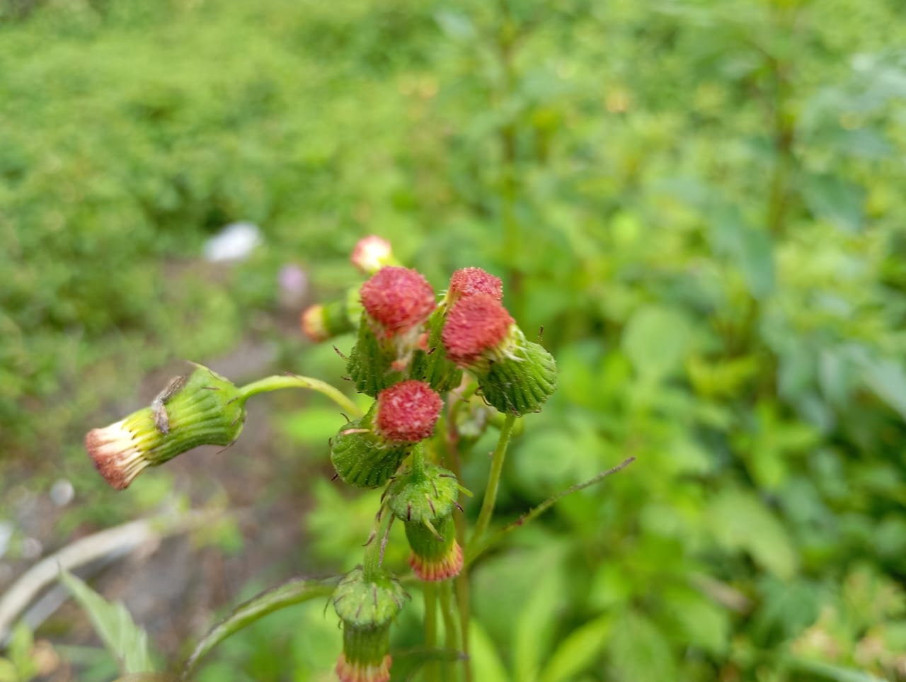 IMG-20240920-WA0351.jpg