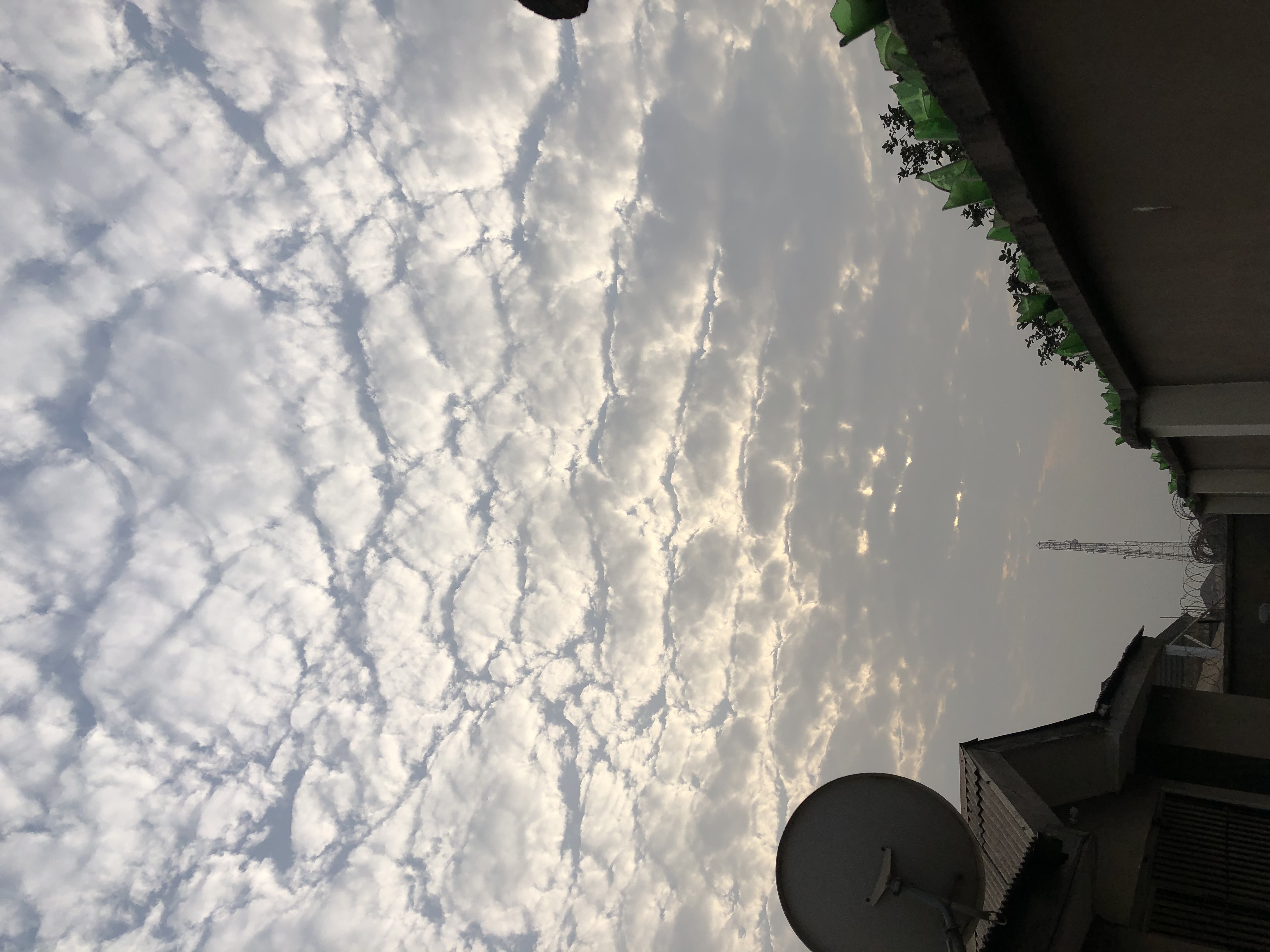 F3368BD2-FA97-4861-B27E-5B3500F9814A.jpeg