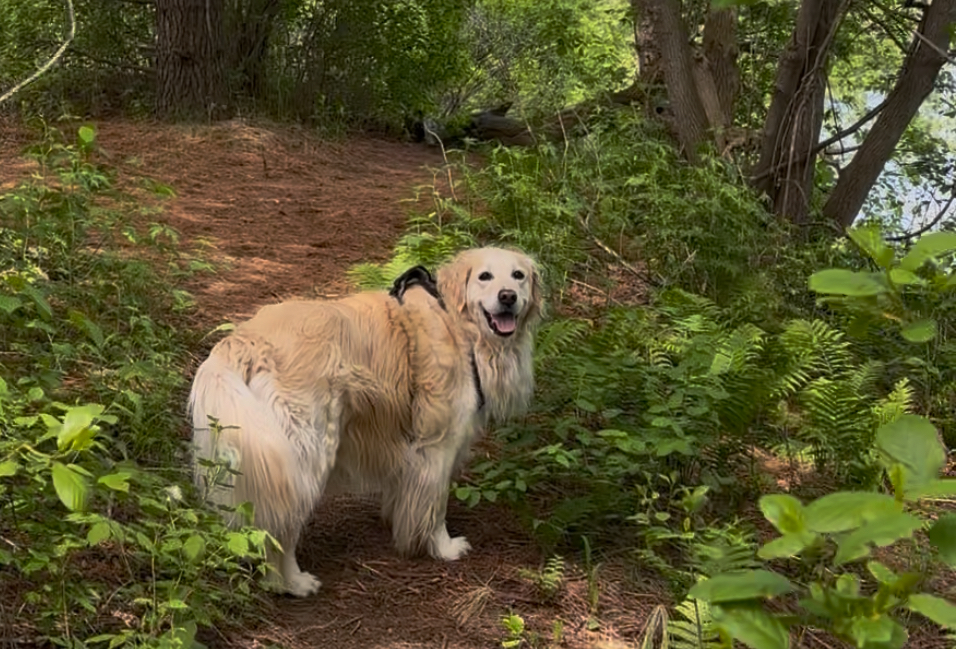 Happy Trails with Lola