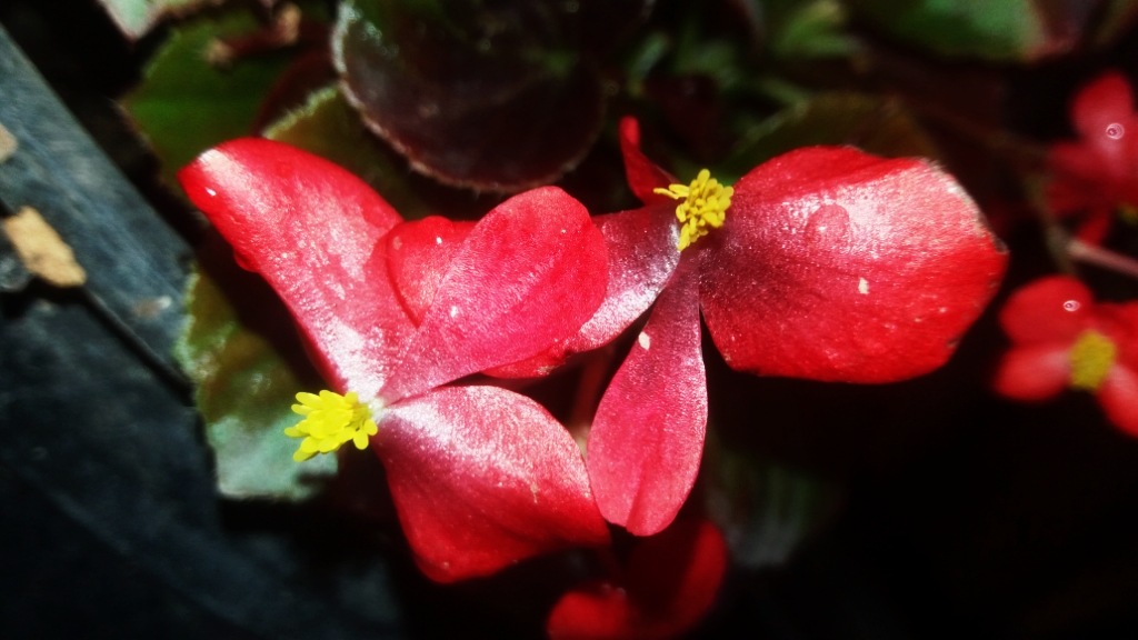 CYMERA_20201113_123656.jpg