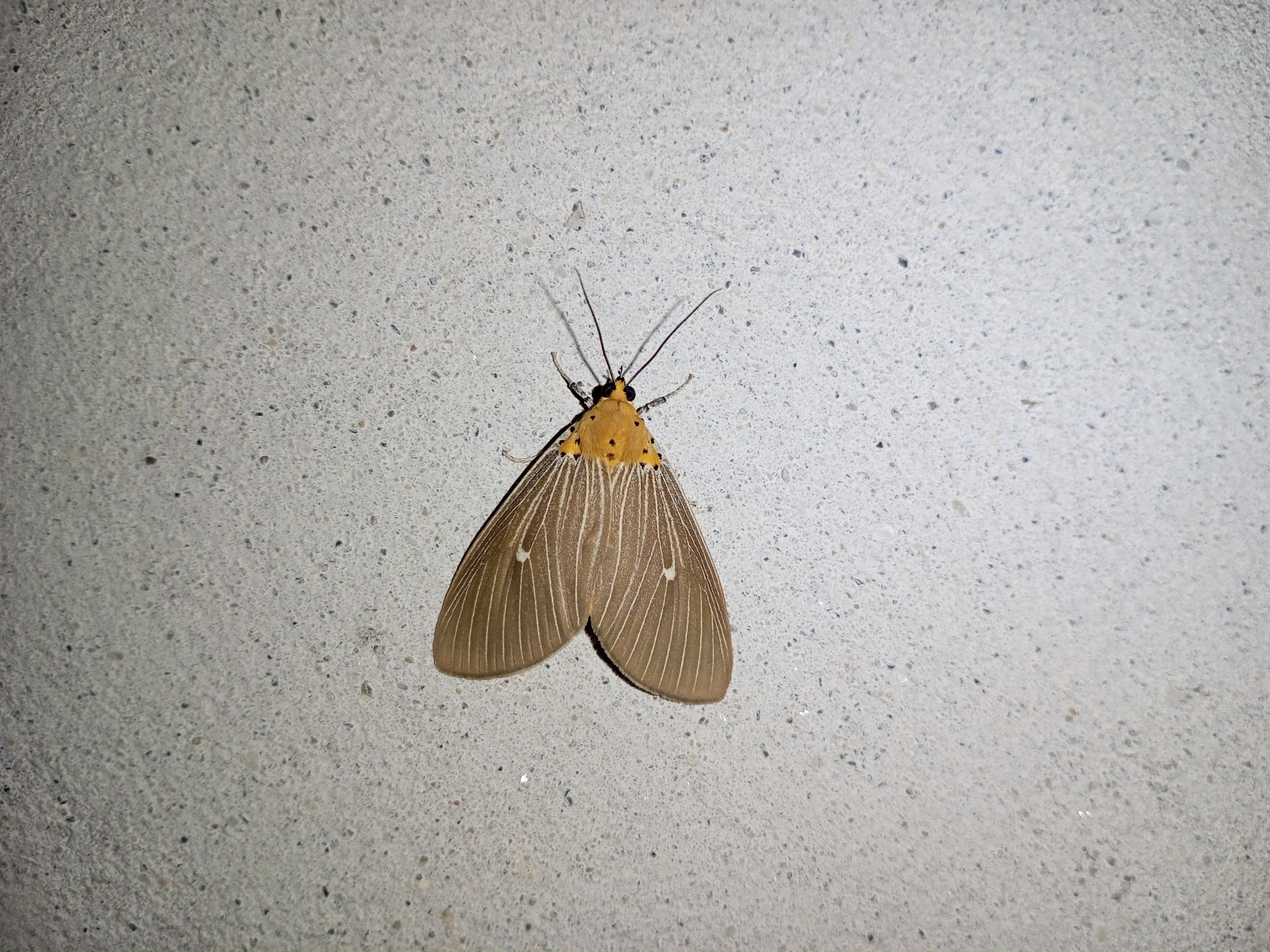 IMG_20250802_220629_134.jpg