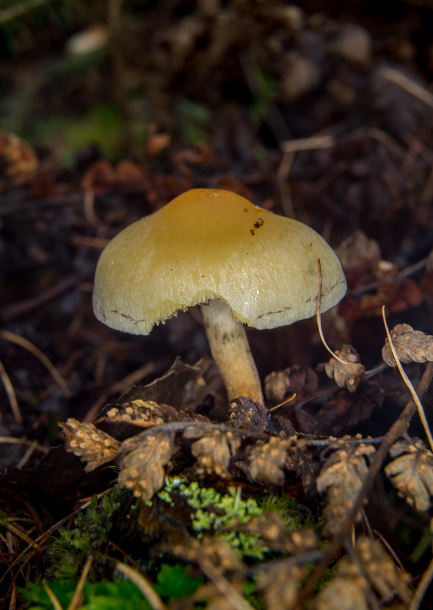 DSC05884.jpg
