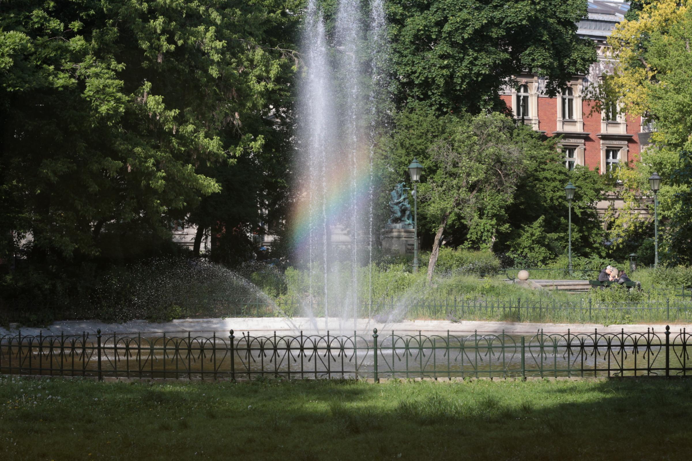 IMG_7287-crop.JPG