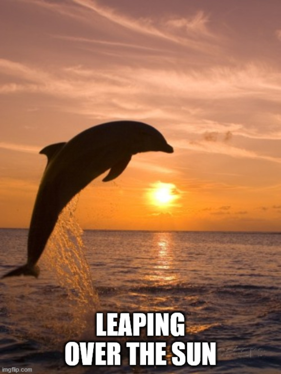 Screenshot_2020-06-30 leaping dolphin Meme Generator - Imgflip.png