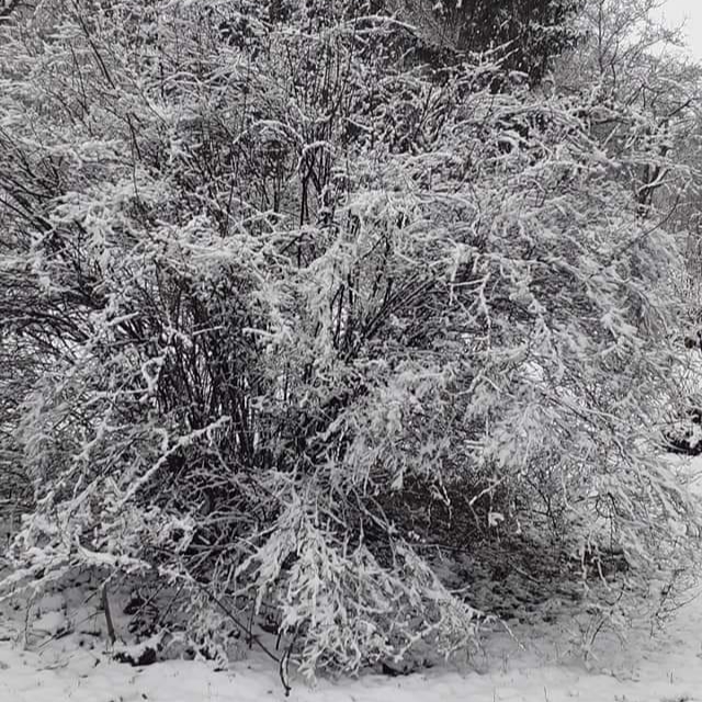 20230325_212847.jpg