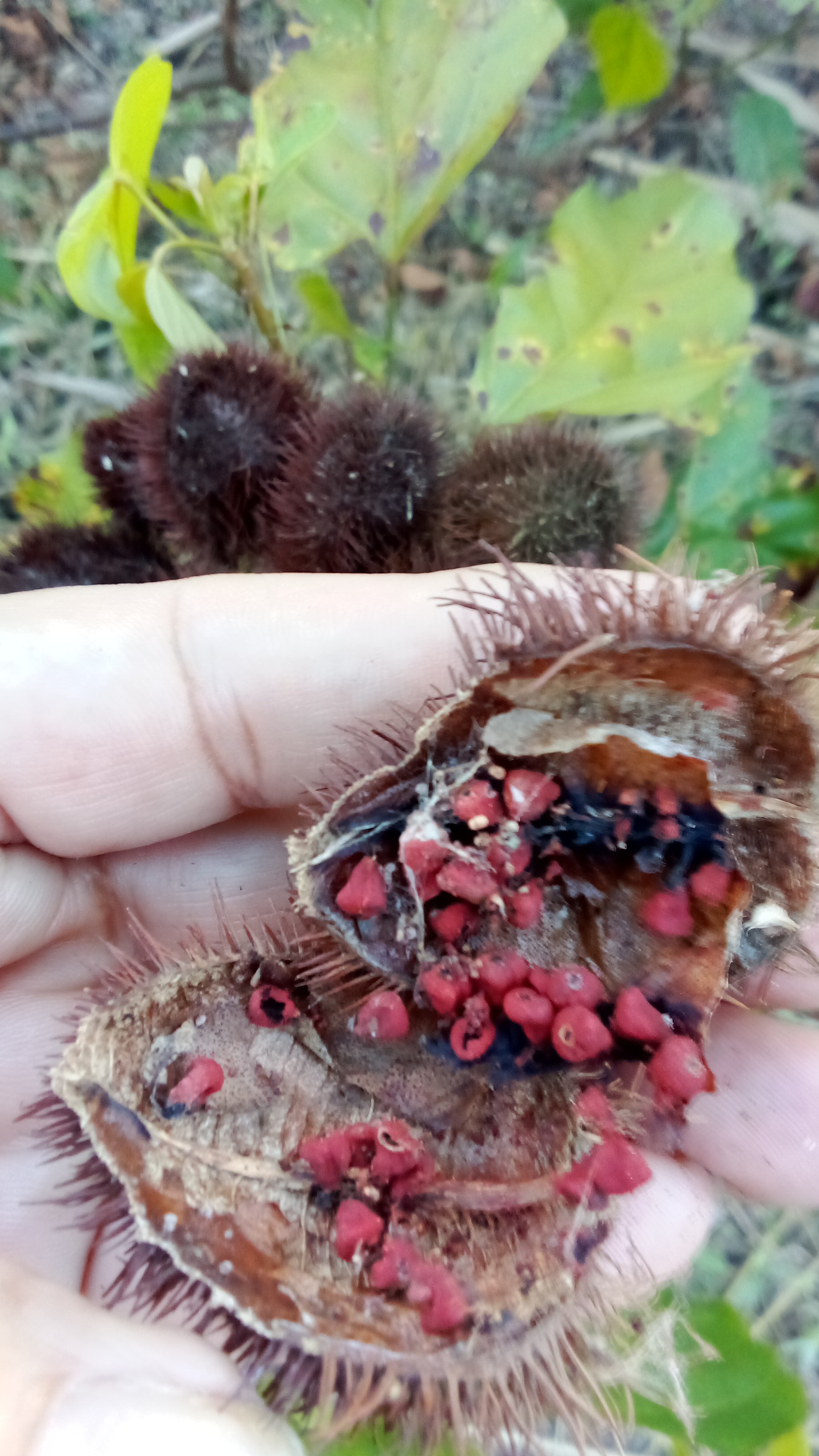 IMG-20231203-WA0180.jpeg