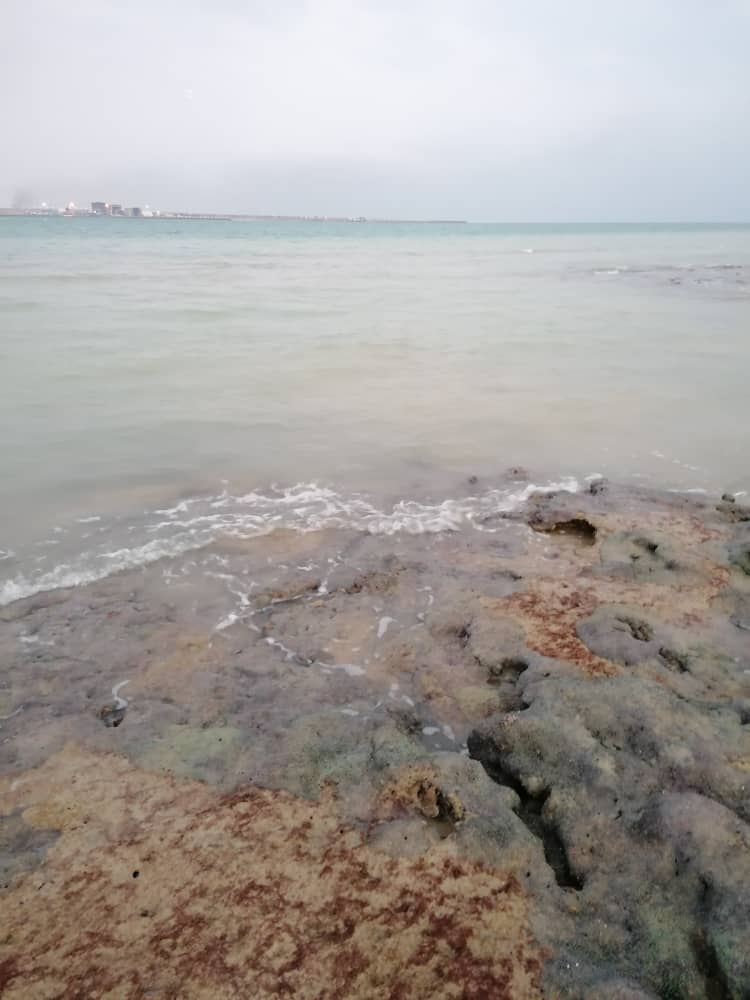 qeshm island54 (23).jpeg