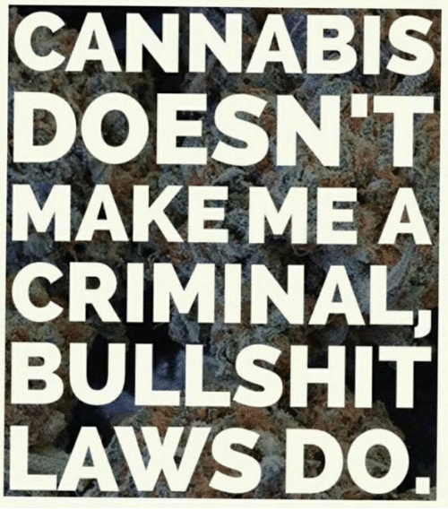 cannabis-doesnt-make-me-a-criminal-bullshit-laws-do-35841672.png