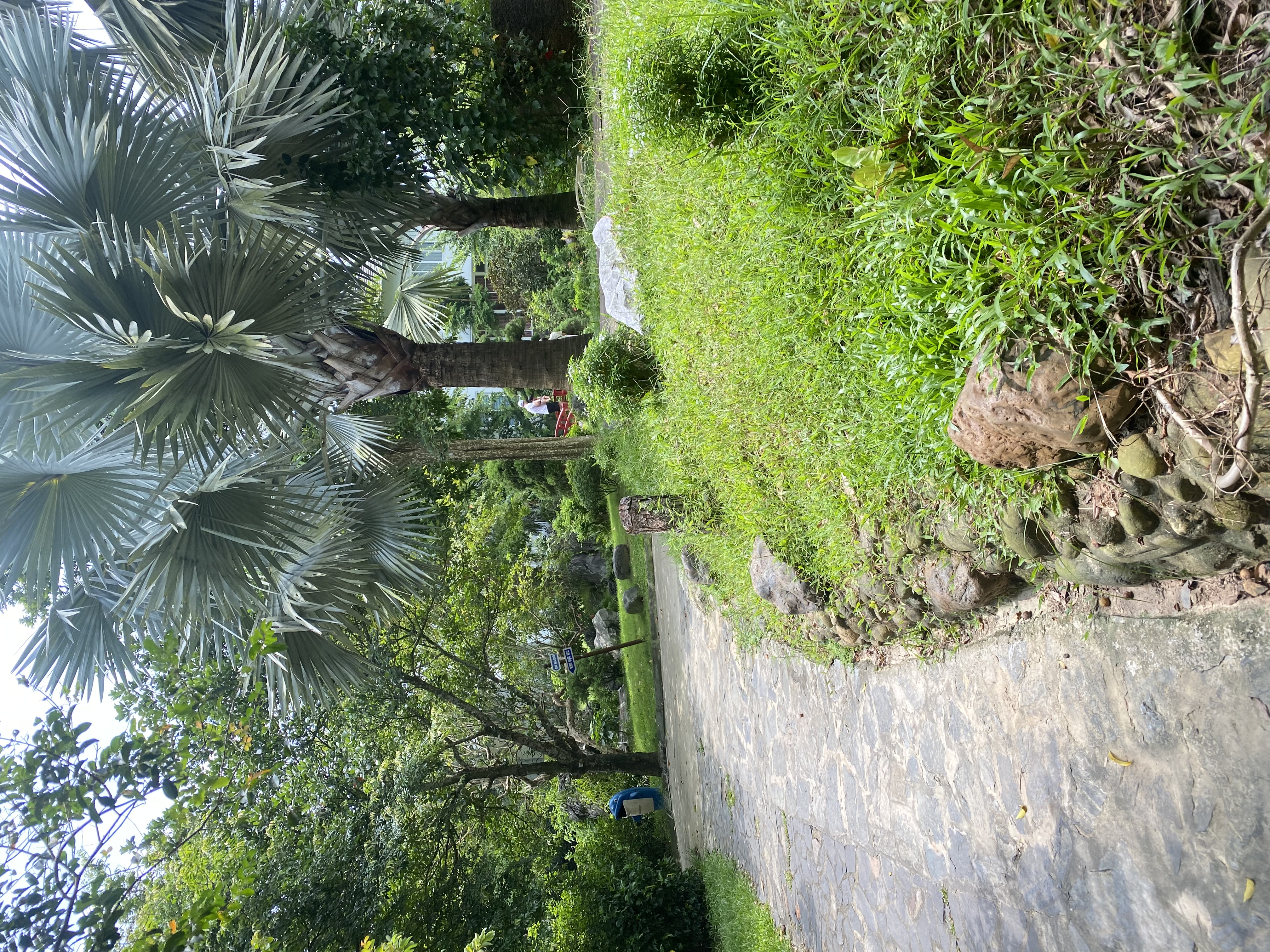 IMG_8410.jpeg