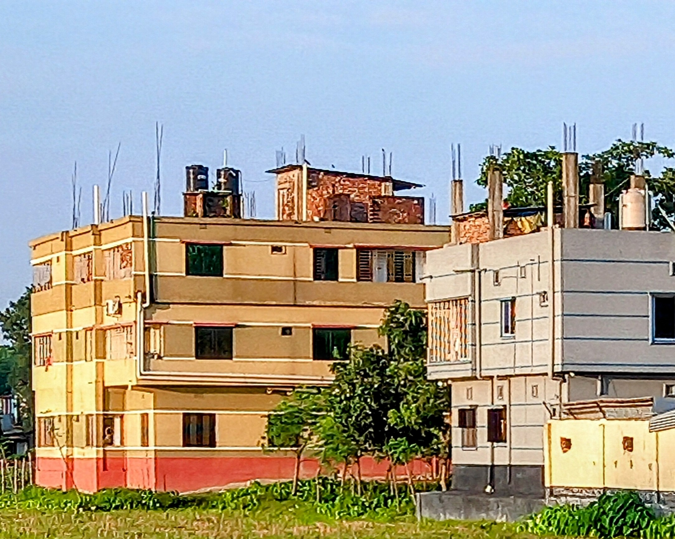 20250627_055753~3.jpg