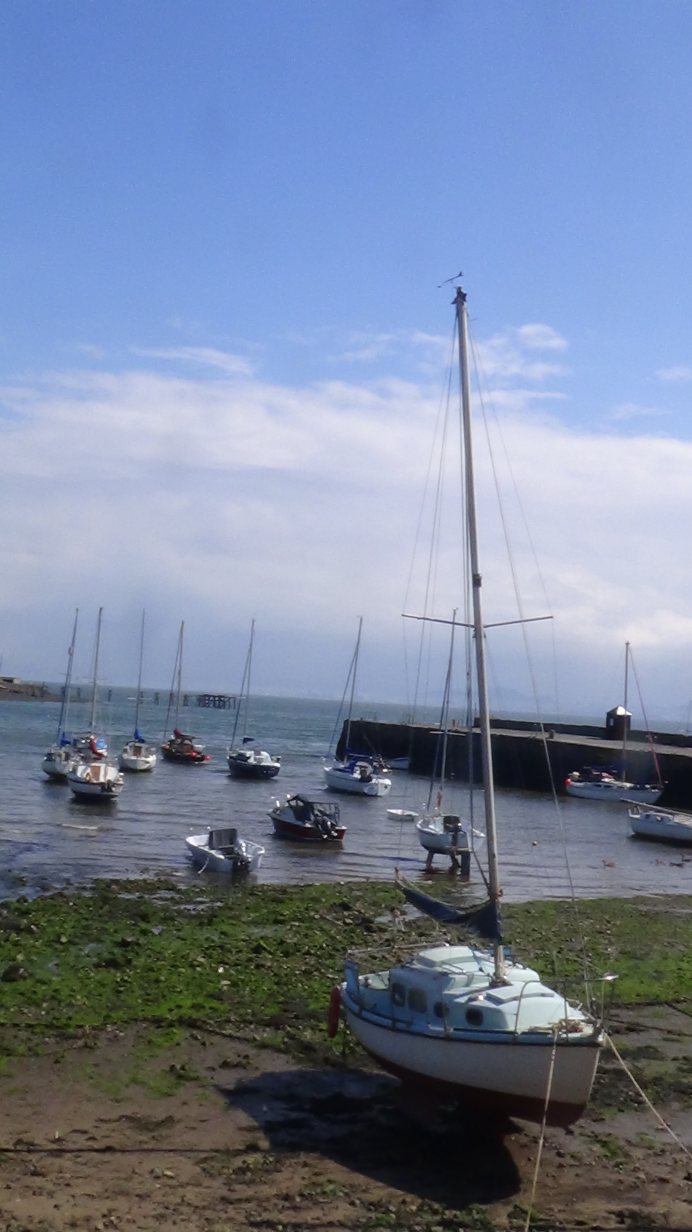 DSC02077.JPG