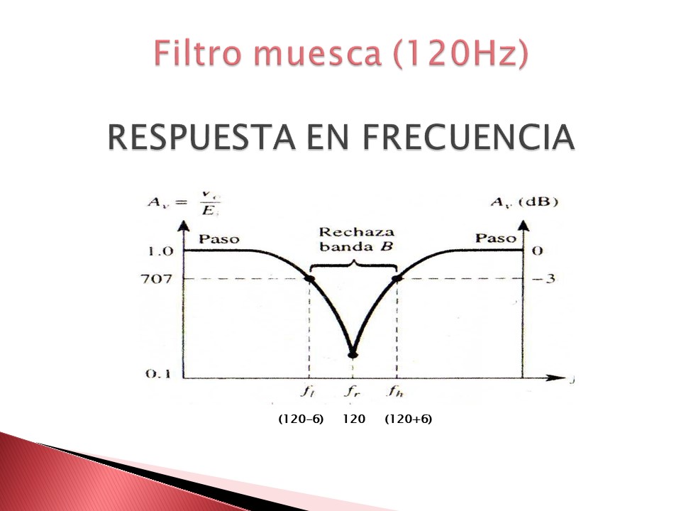 Diapositiva13.JPG