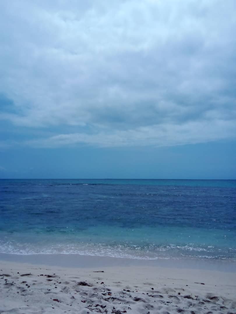 IMG-20250316-WA0006.jpg