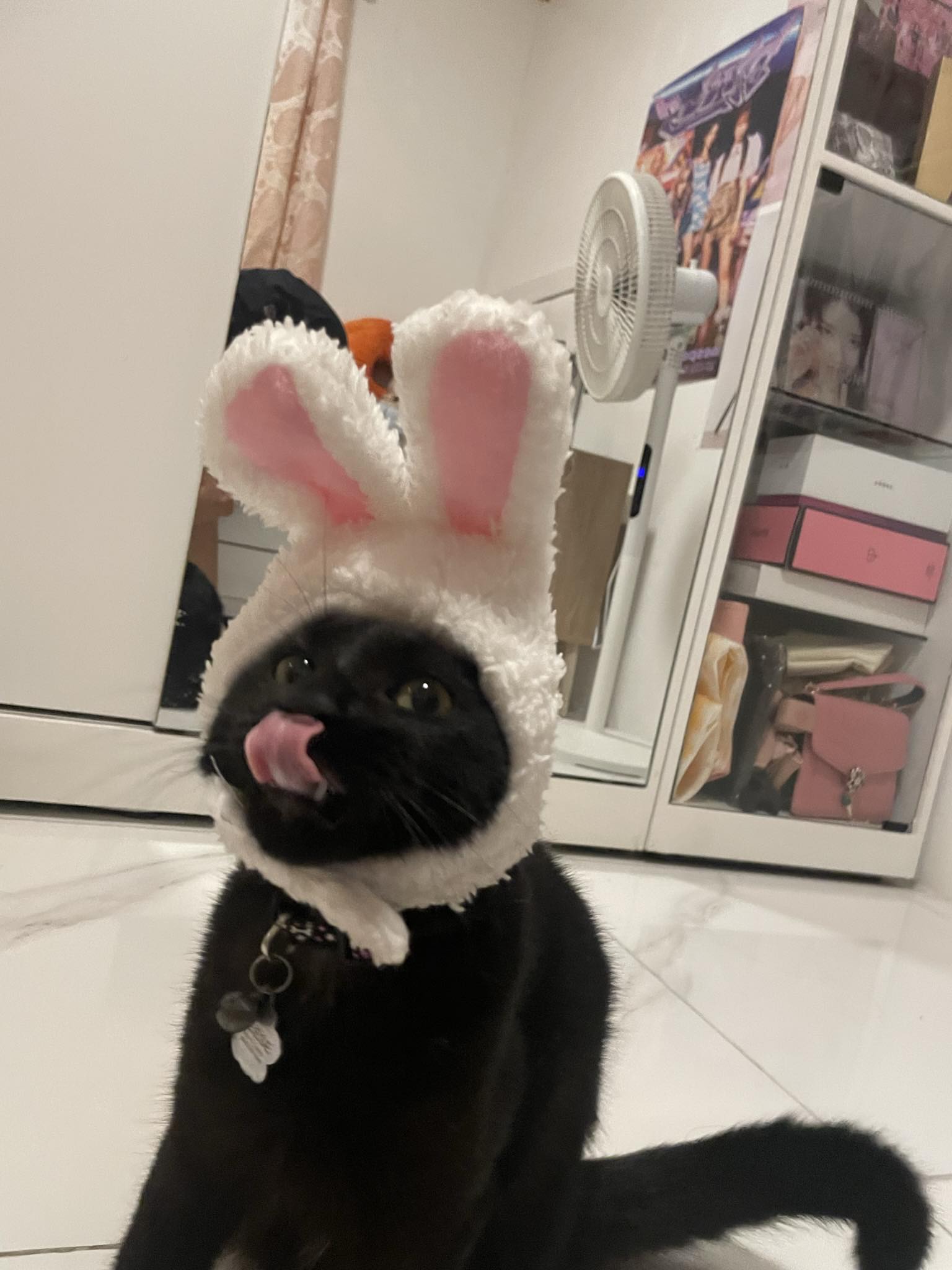reese tounge out.jpeg