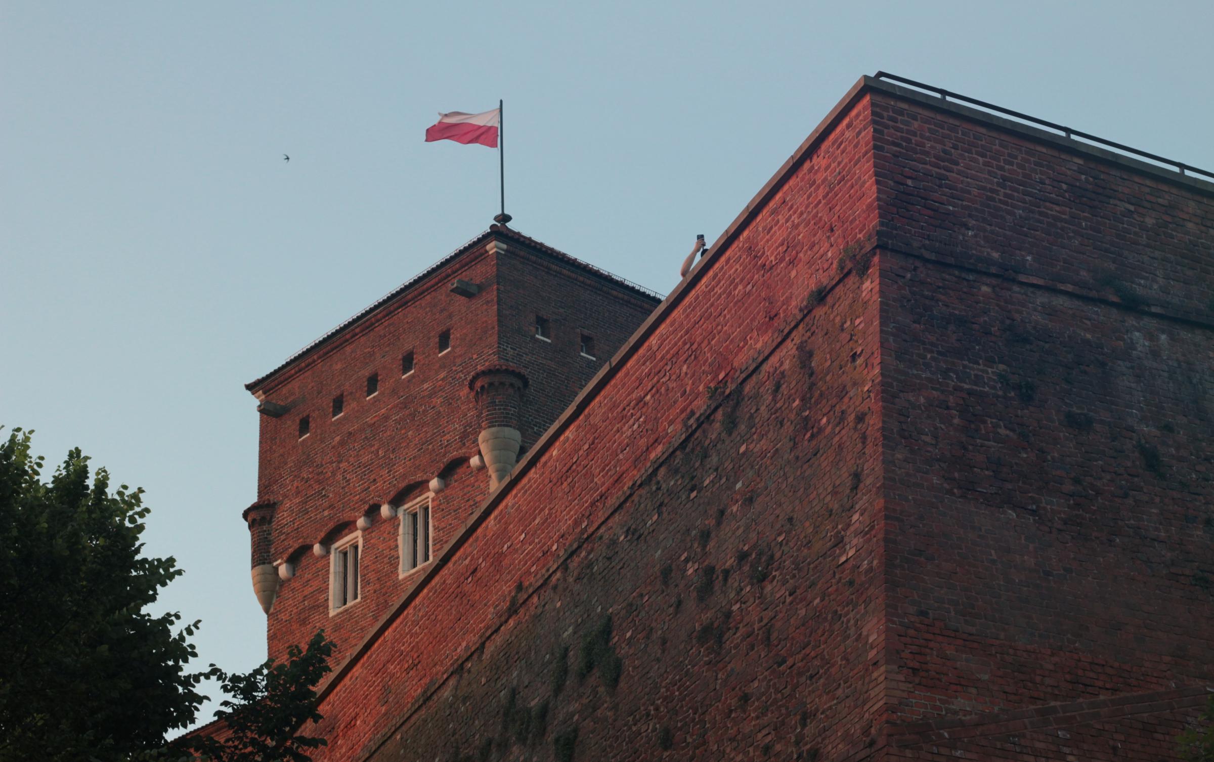 IMG_7408-crop.JPG