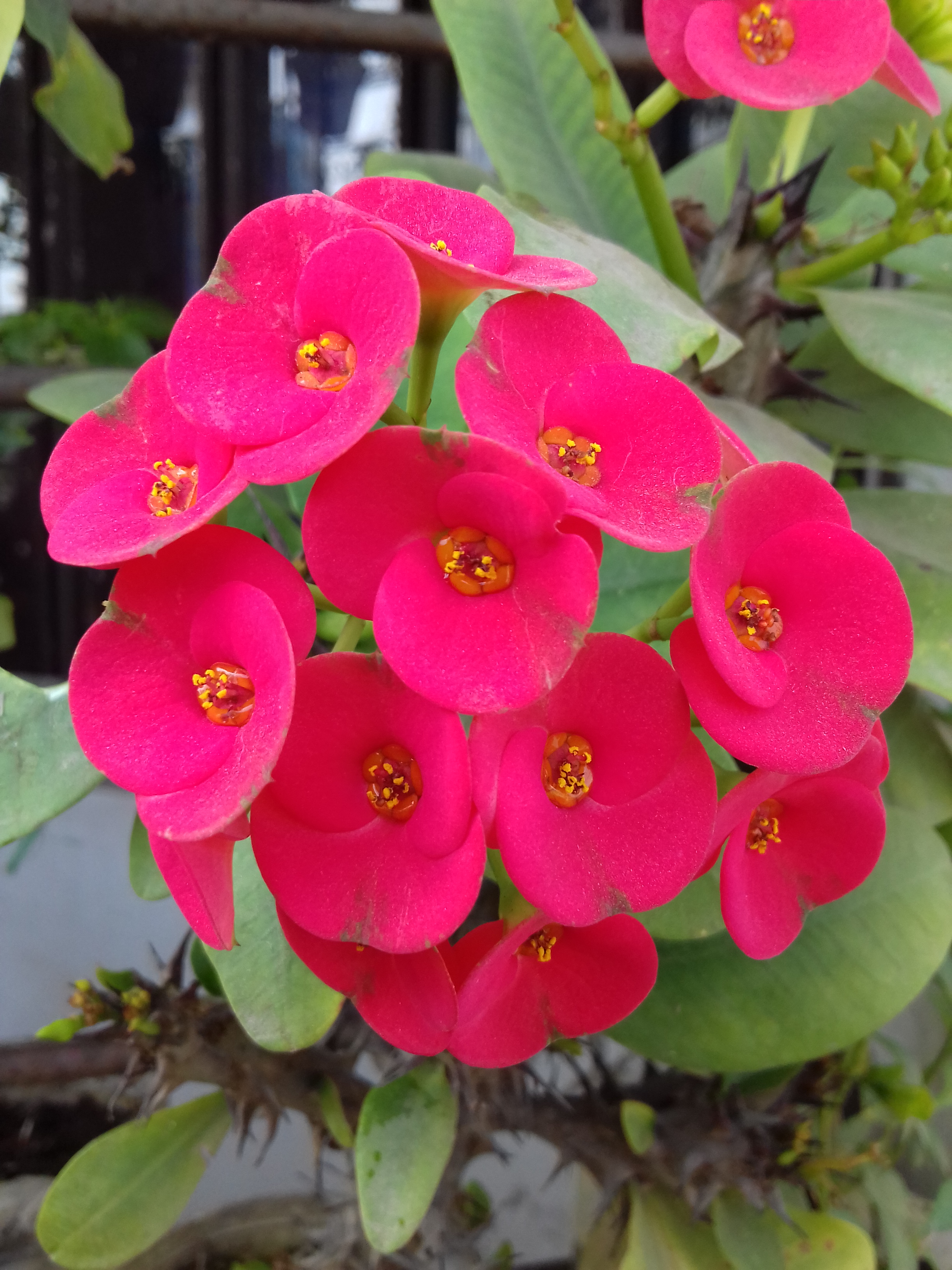 20201216_124921.jpg