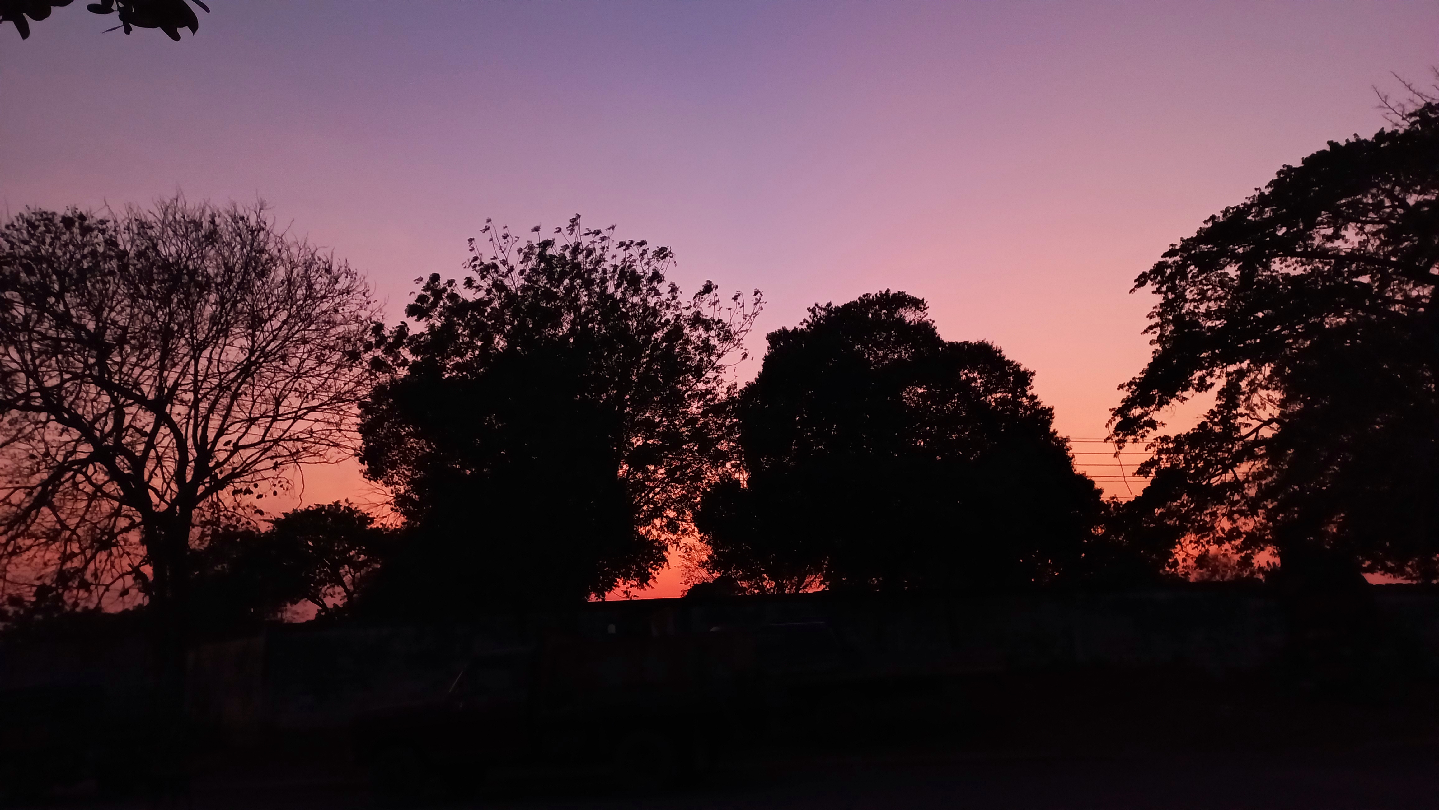 20250414_185133.jpg