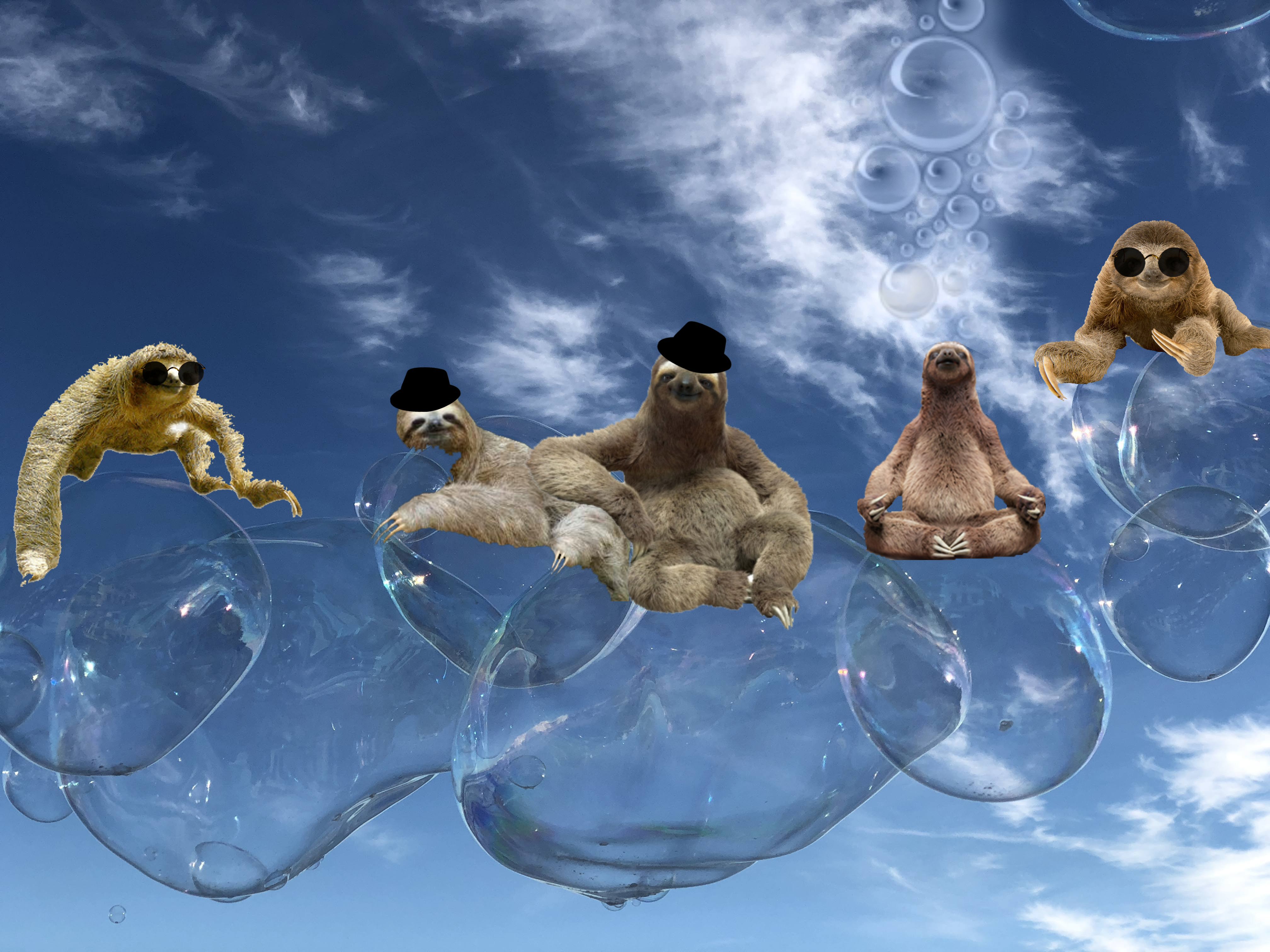 sloths on bubbles.jpg