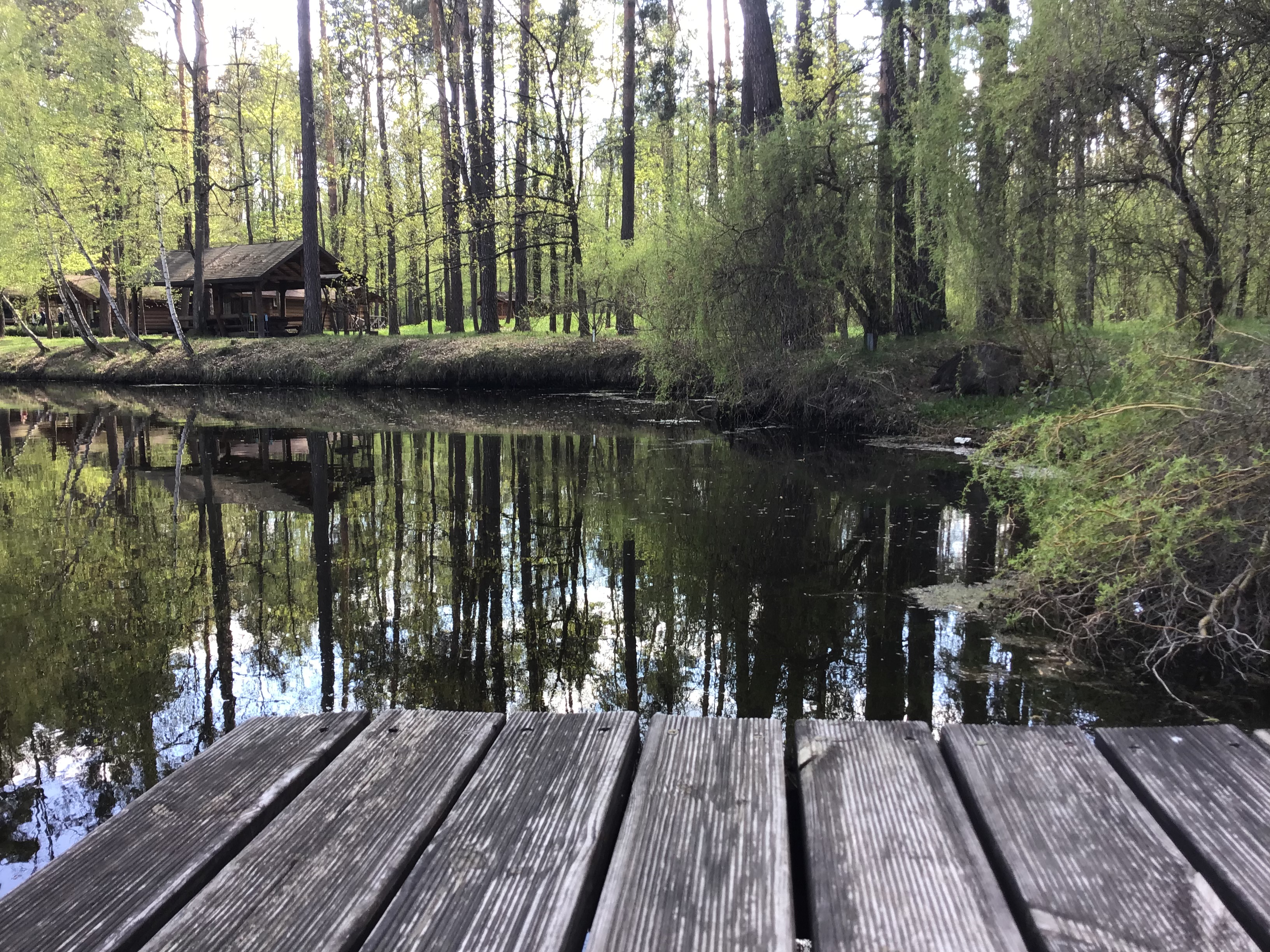 IMG_5597.jpeg