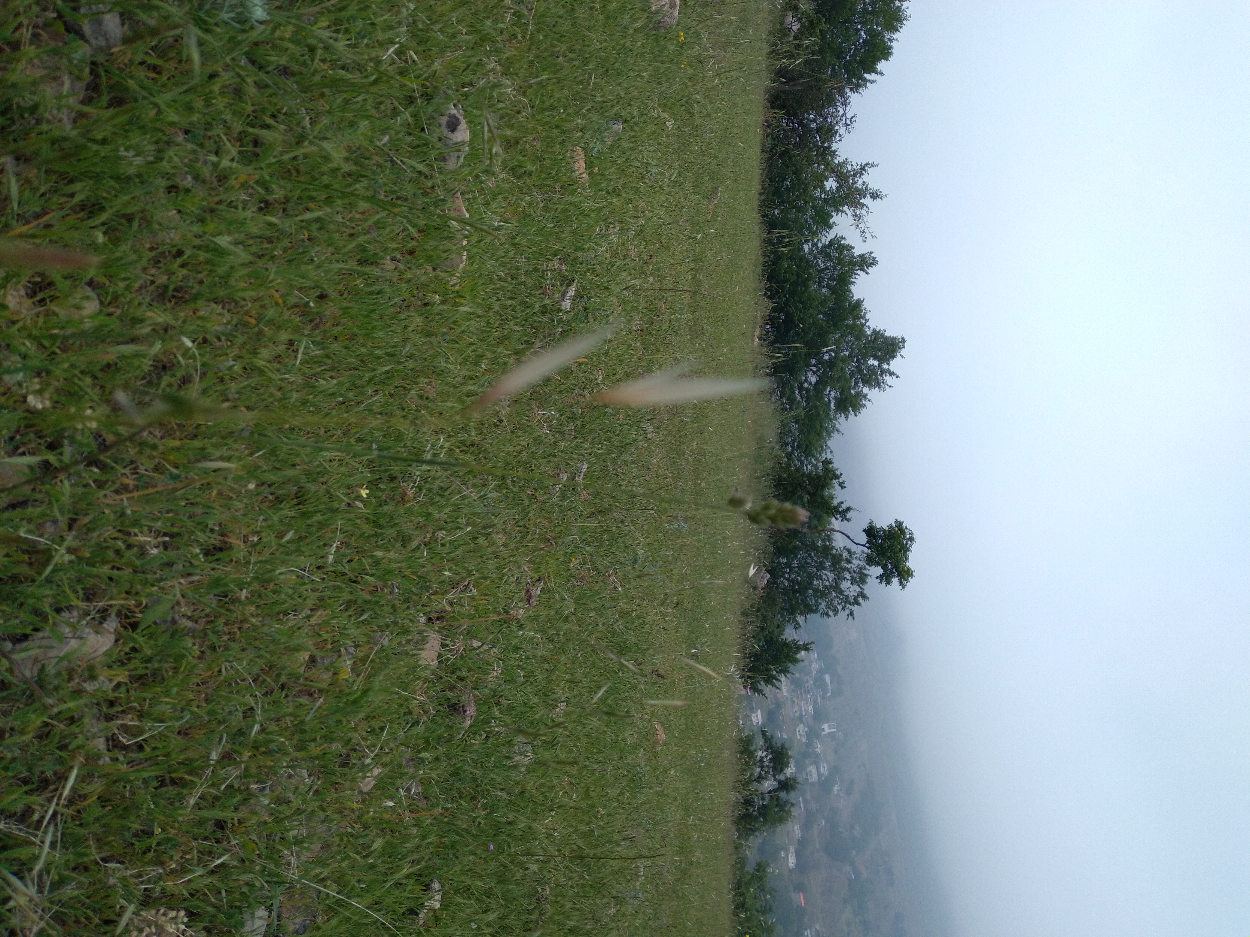 20230518_171634.jpg