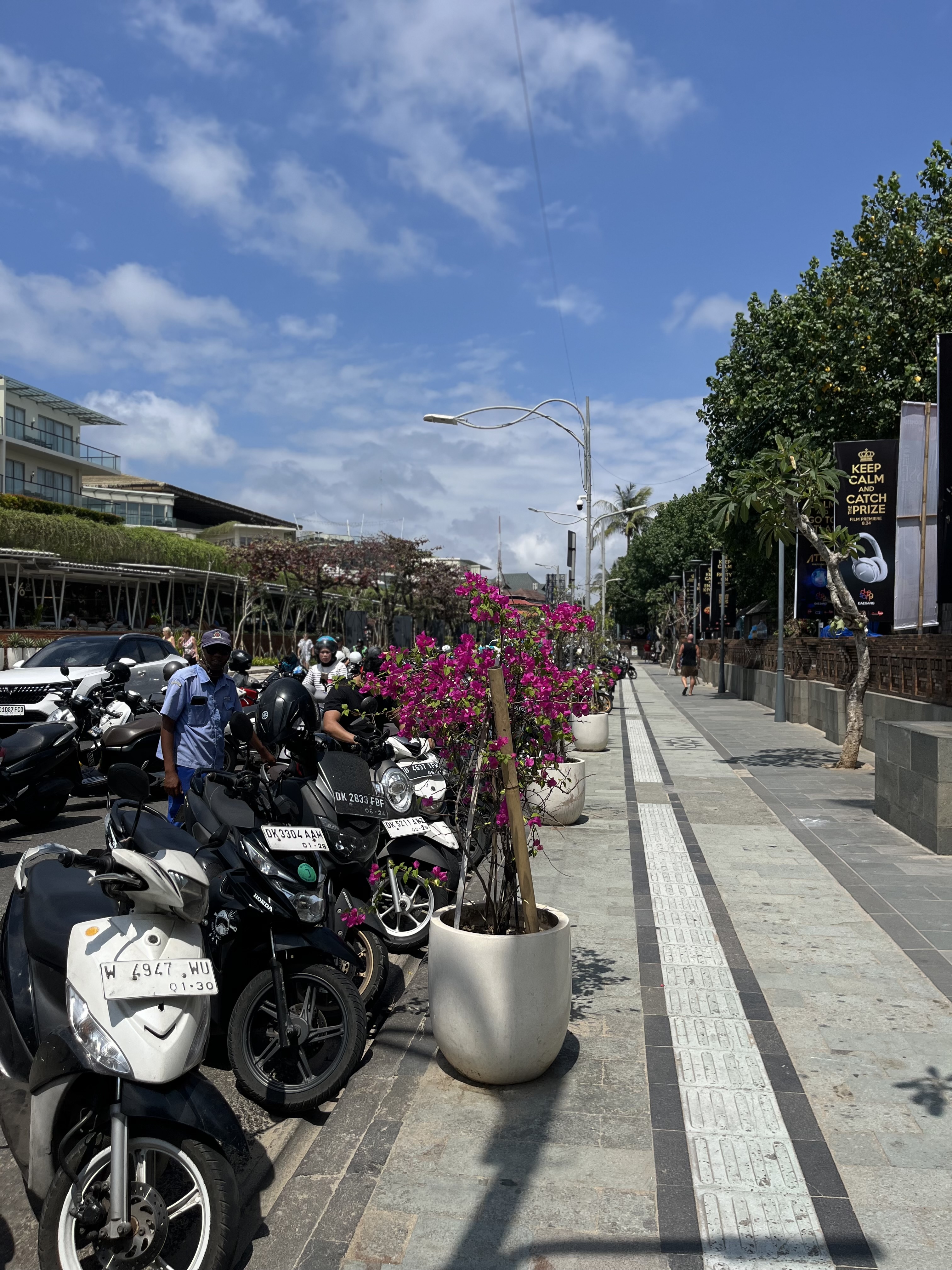 IMG_5908.jpeg
