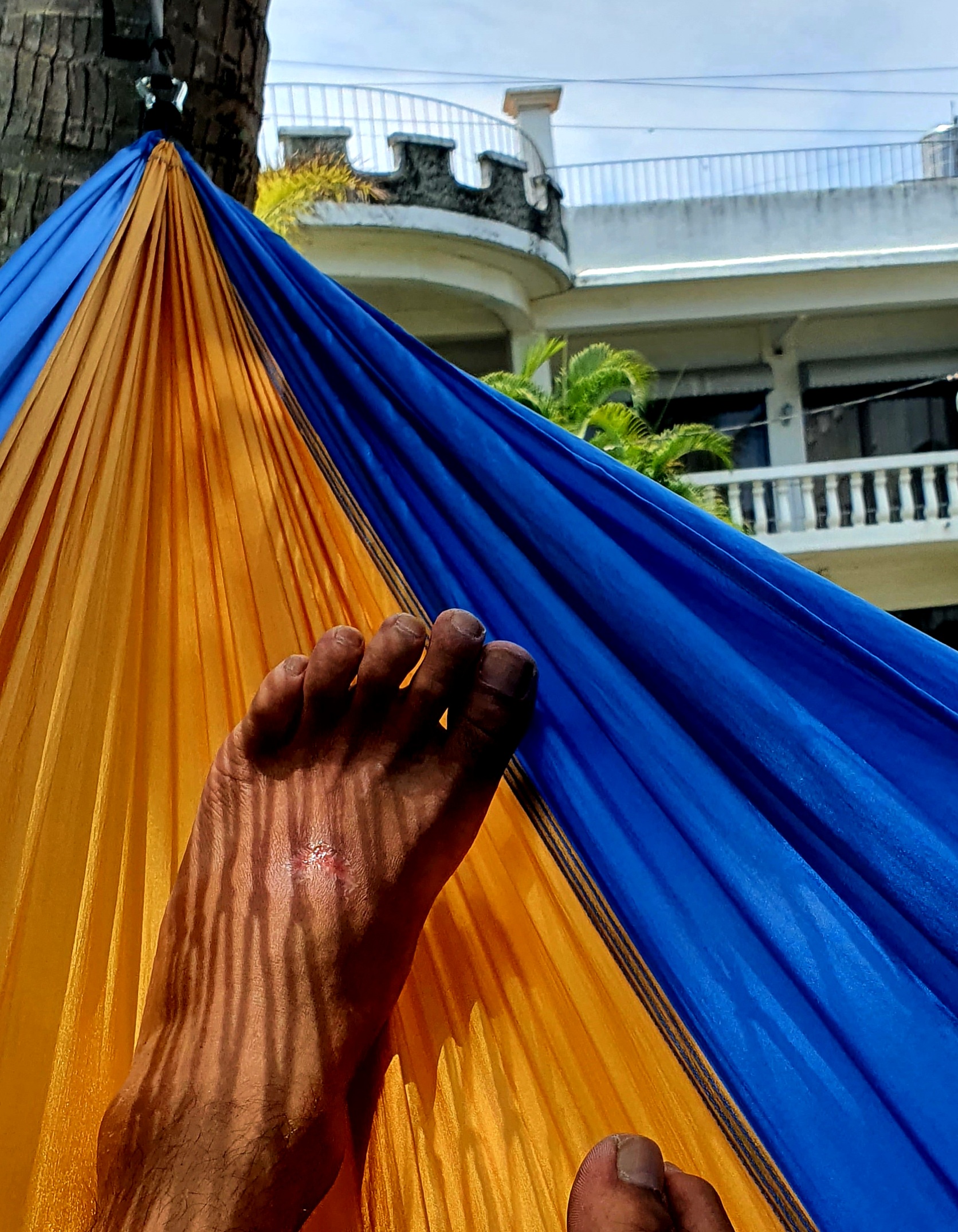 20230506_115636.jpg