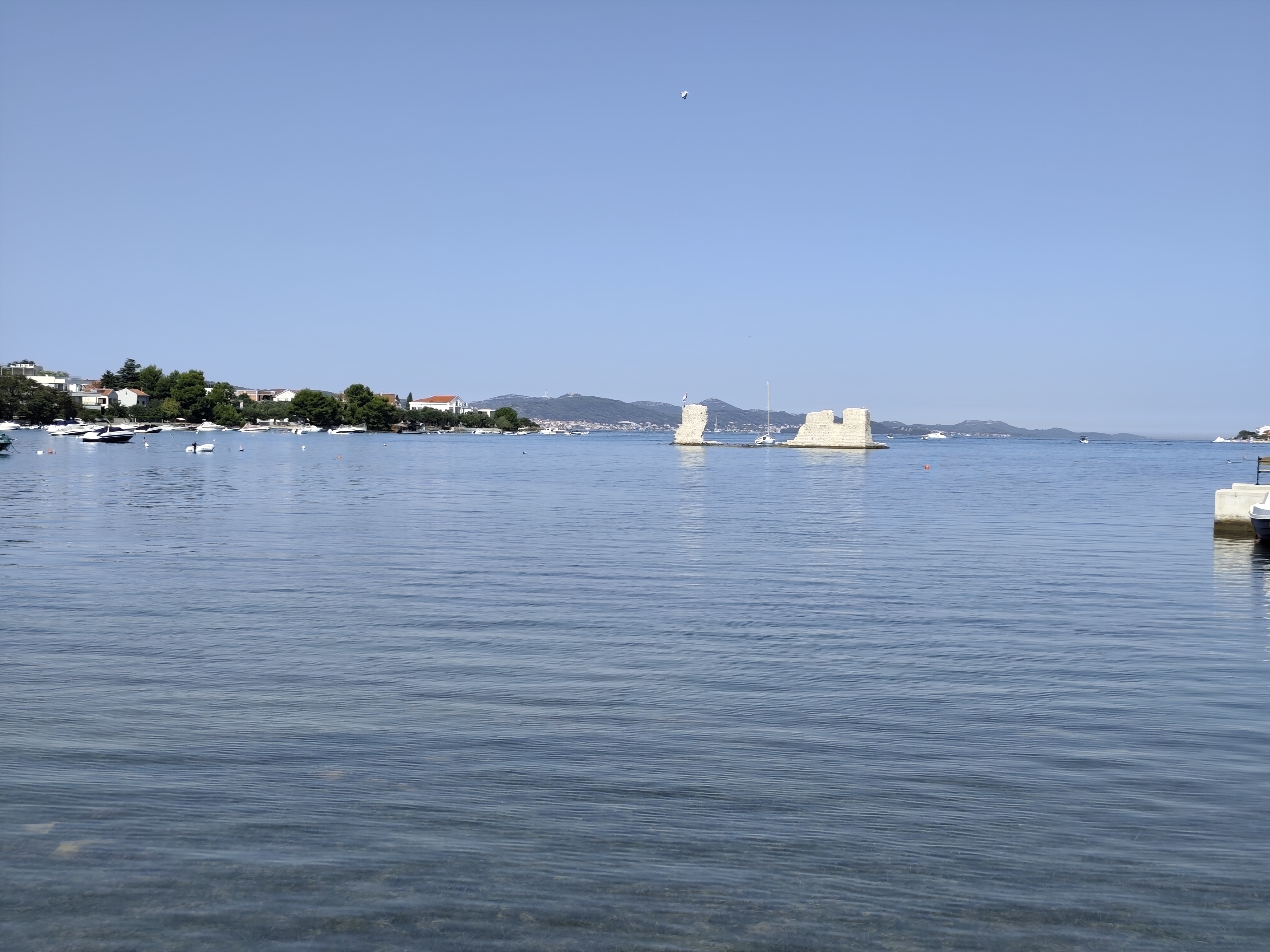 IMG_20250809_101107.jpg
