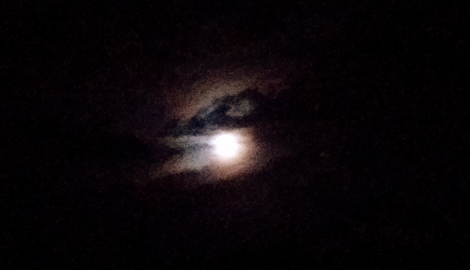 20200908_122526.jpg