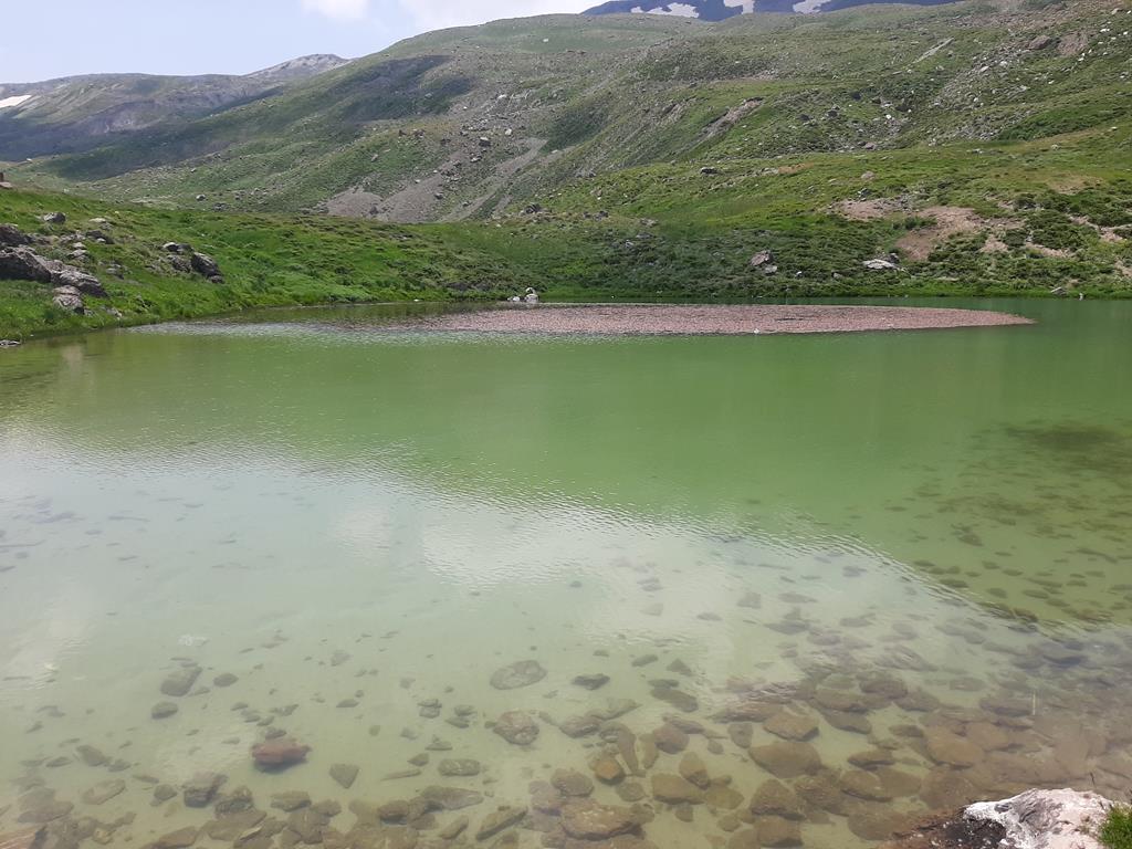 20250608_120933.jpg