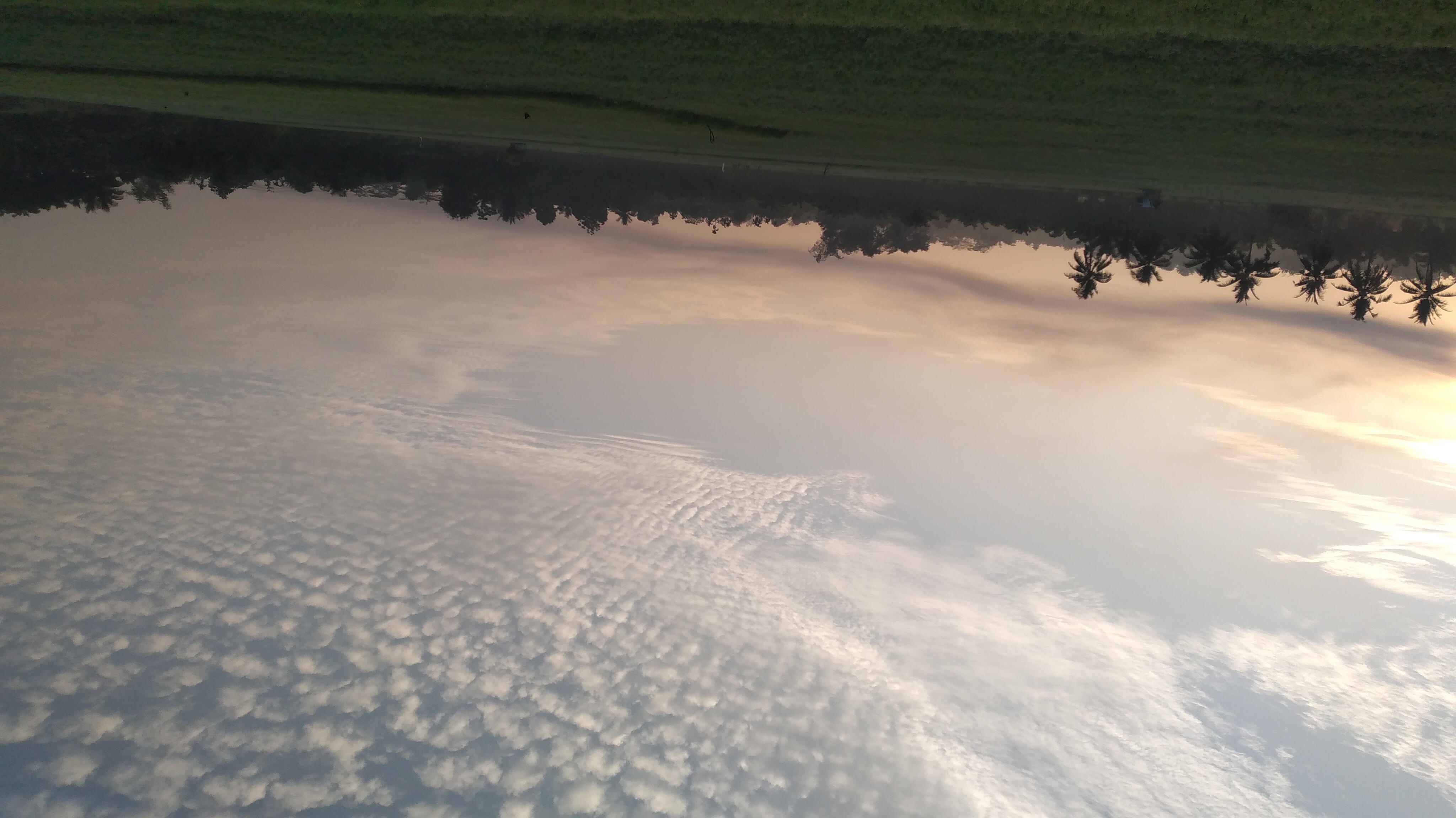 20240317_065950.jpg