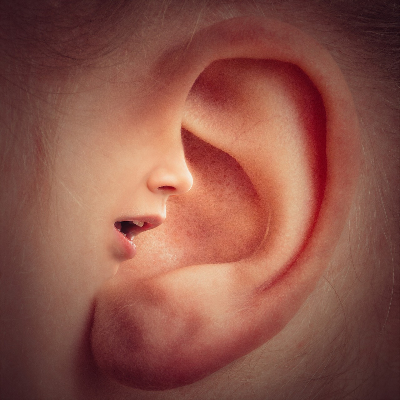 ear-3971050_1280.jpg