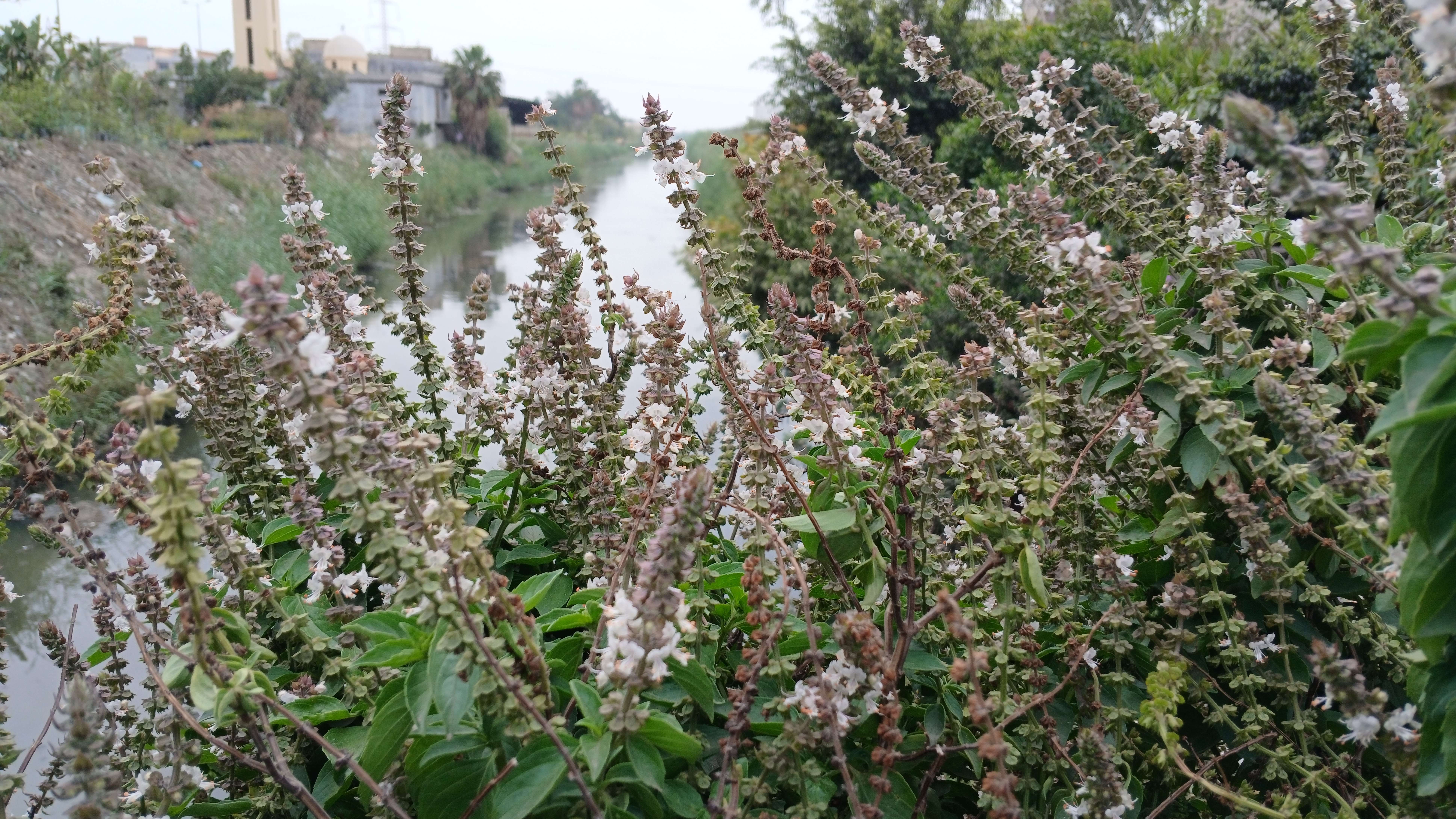 20250423_114717_copy_7752x4362.jpg